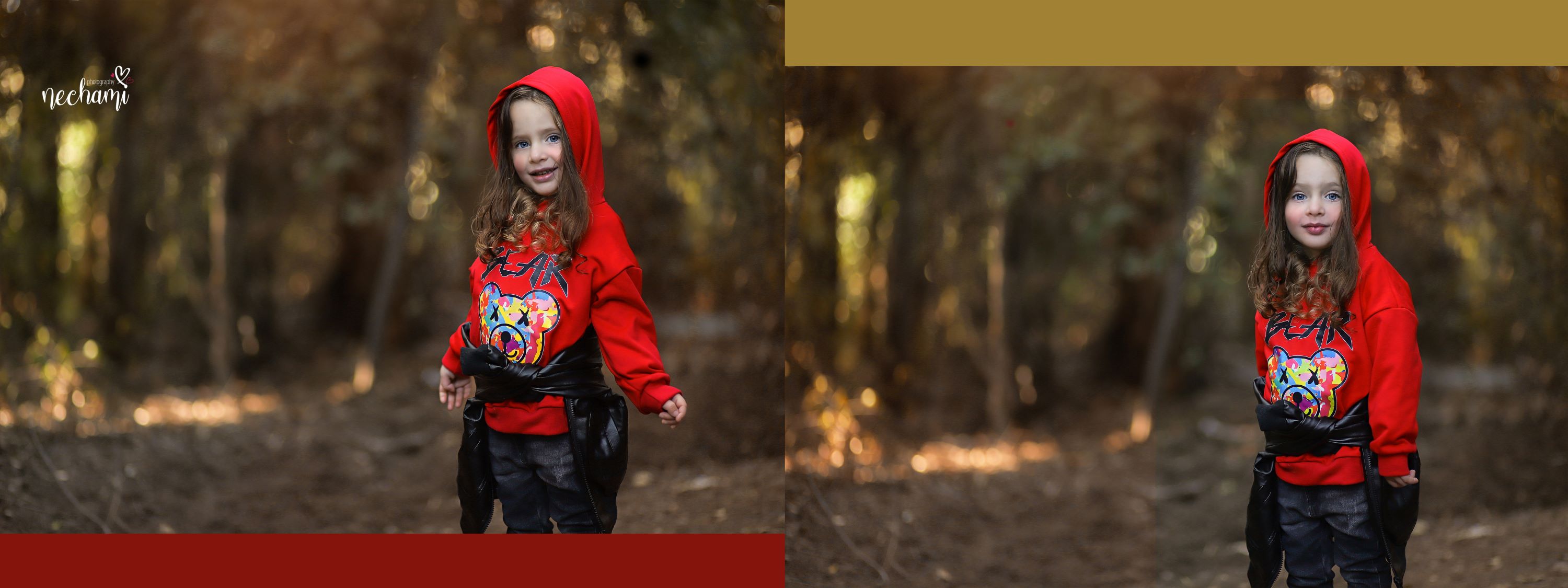 נחמי למברגר 11.jpg