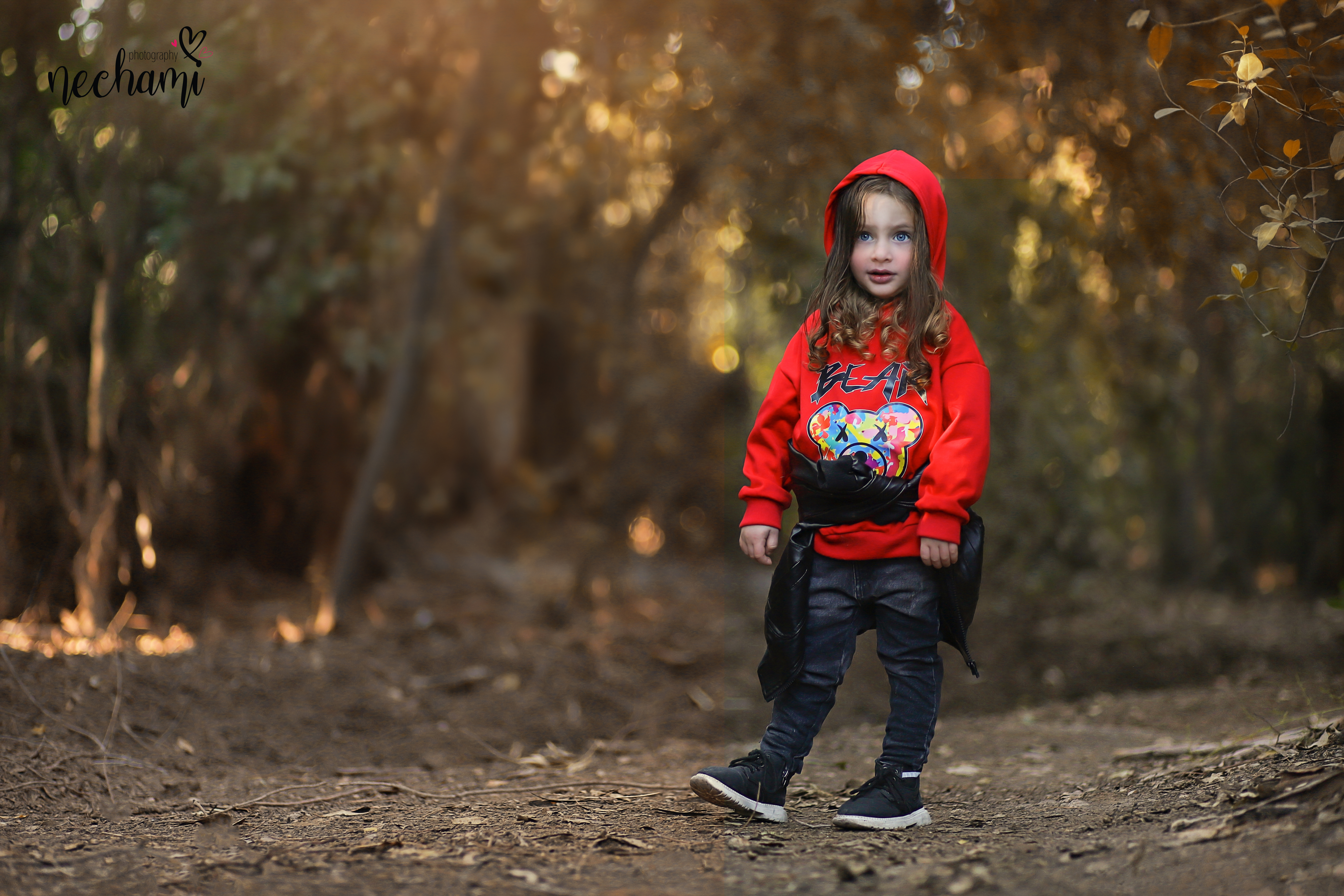 נחמי למברגר05485253 61.jpg