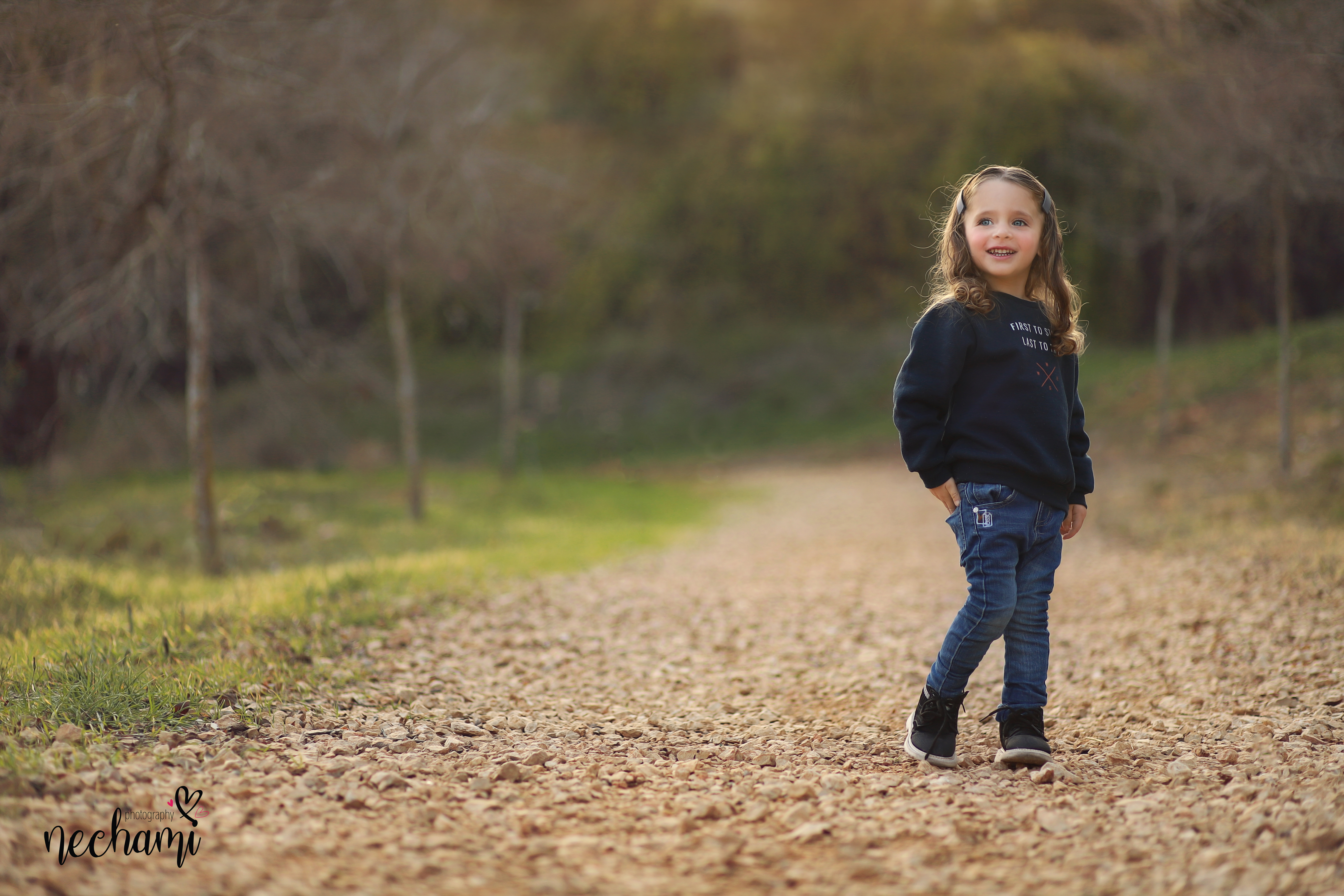 נחמי  ל מברגר0548525361.jpg