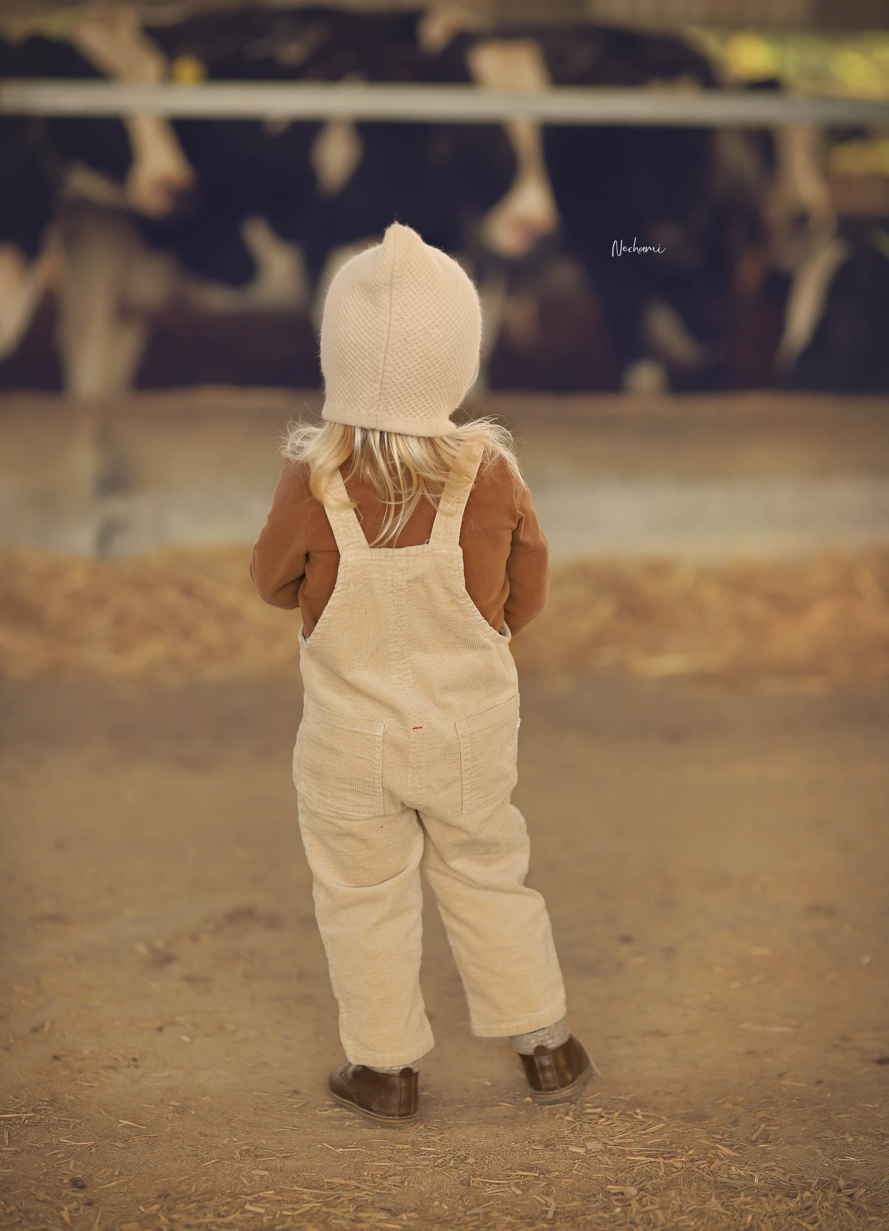 נחמי מישור צלמת 0548525028 (11).jpg