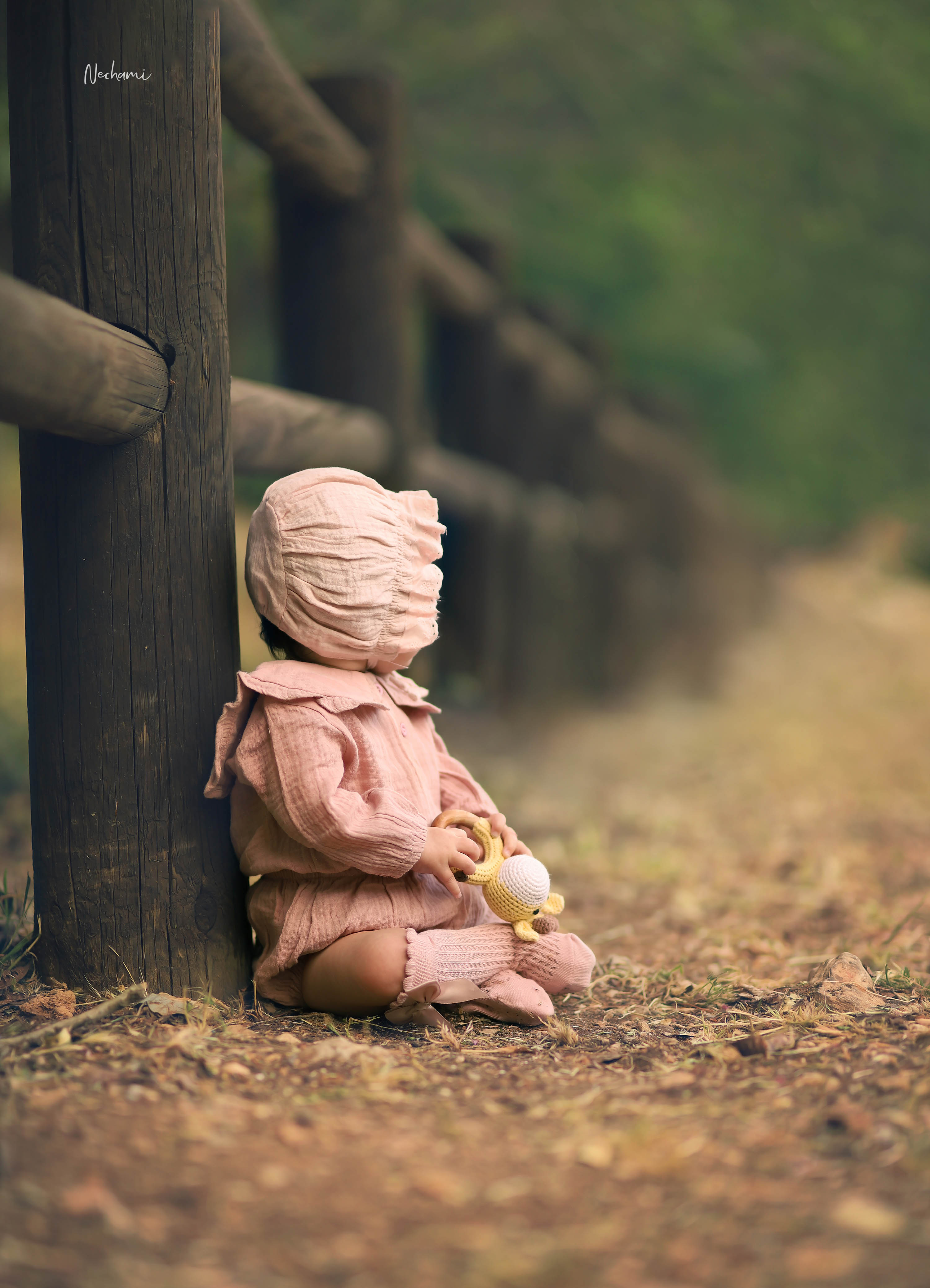 נחמי מישור צלמת 0548525028 (12).jpg