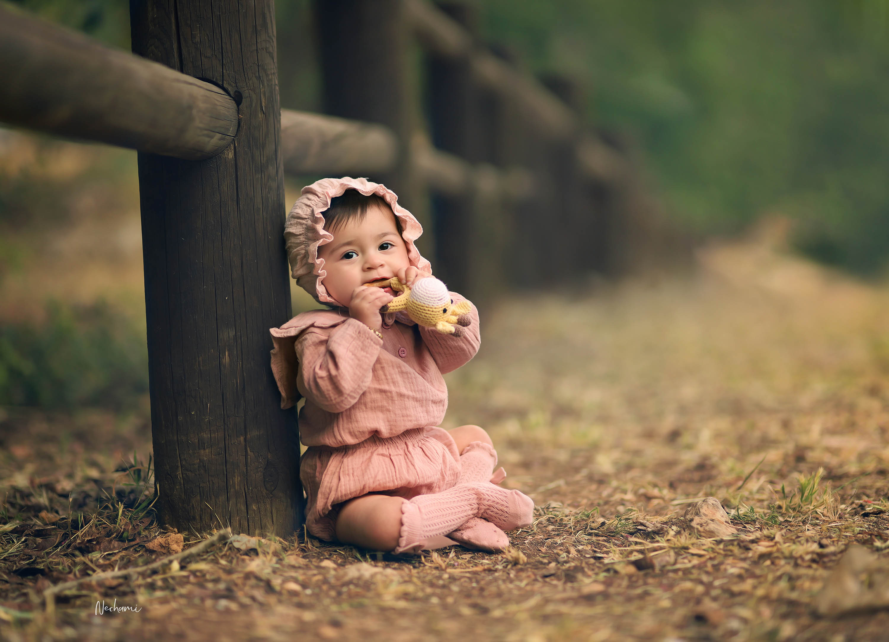 נחמי מישור צלמת 0548525028 (13).jpg