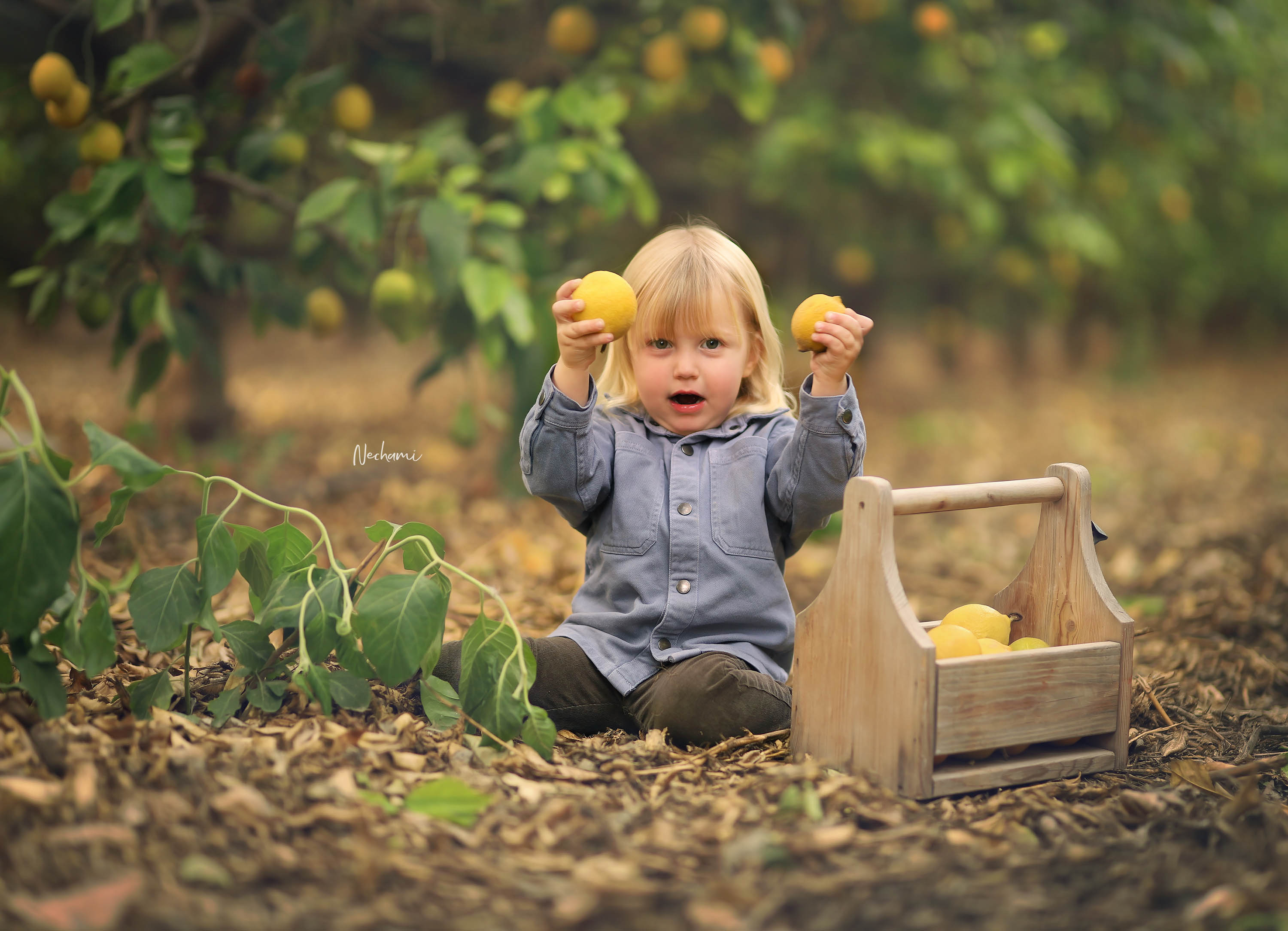 נחמי מישור צלמת 0548525028 (14).jpg