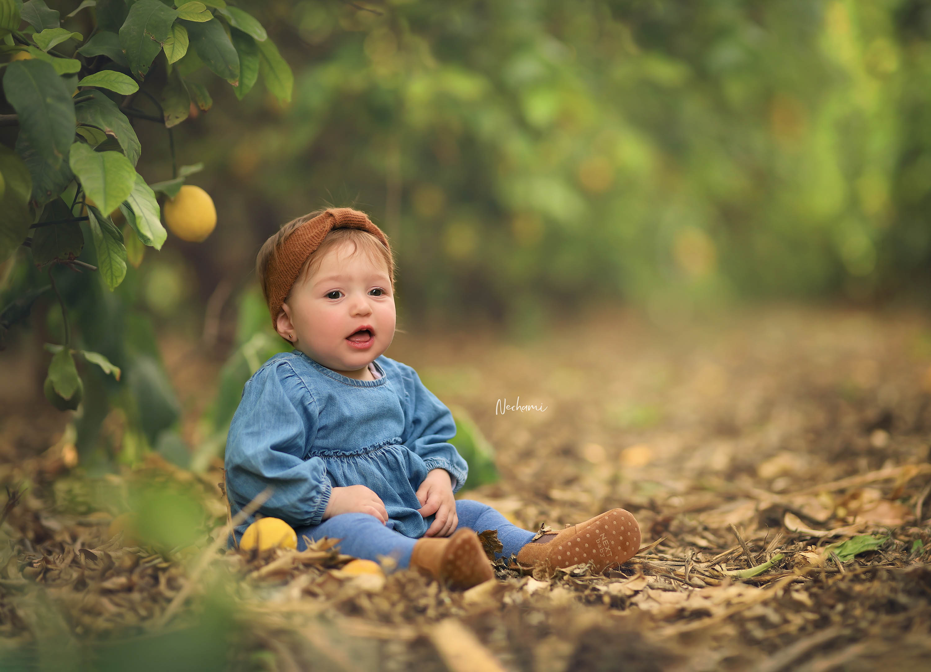 נחמי מישור צלמת 0548525028 (15).jpg