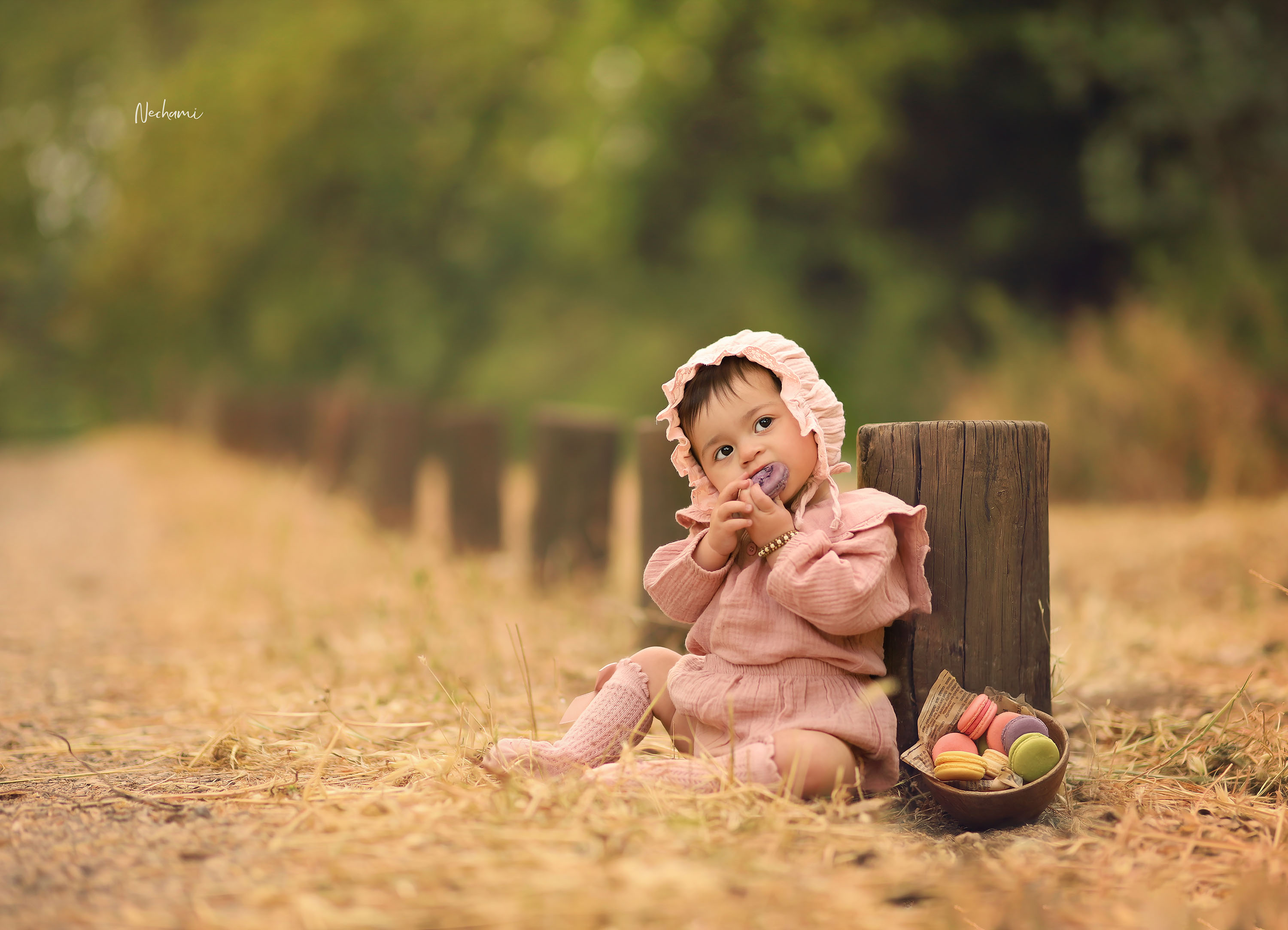 נחמי מישור צלמת 0548525028 (15).jpg