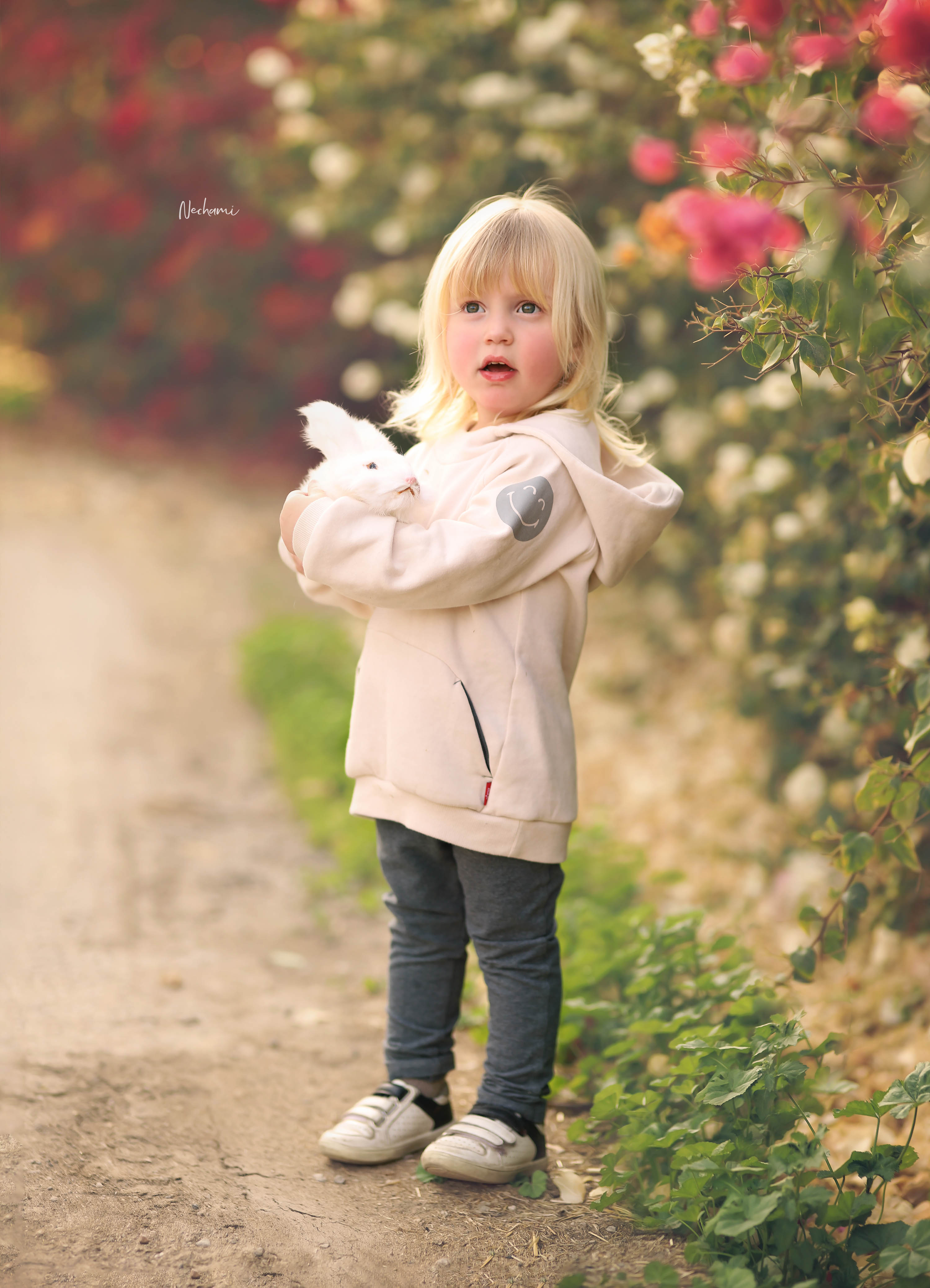 נחמי מישור צלמת 0548525028 (16).jpg