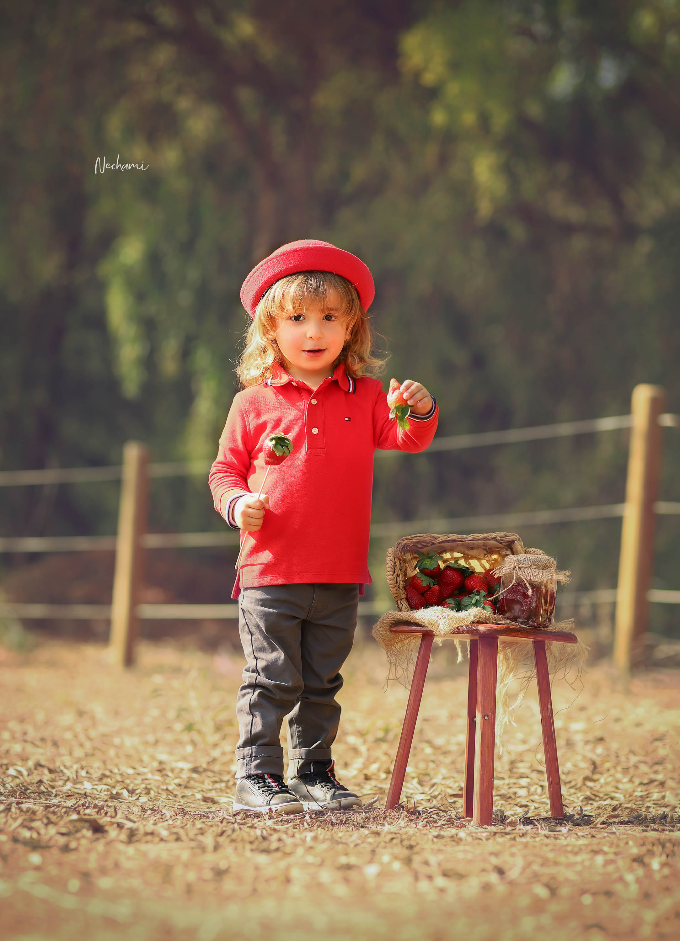 נחמי מישור צלמת  0548525028 (17).jpg