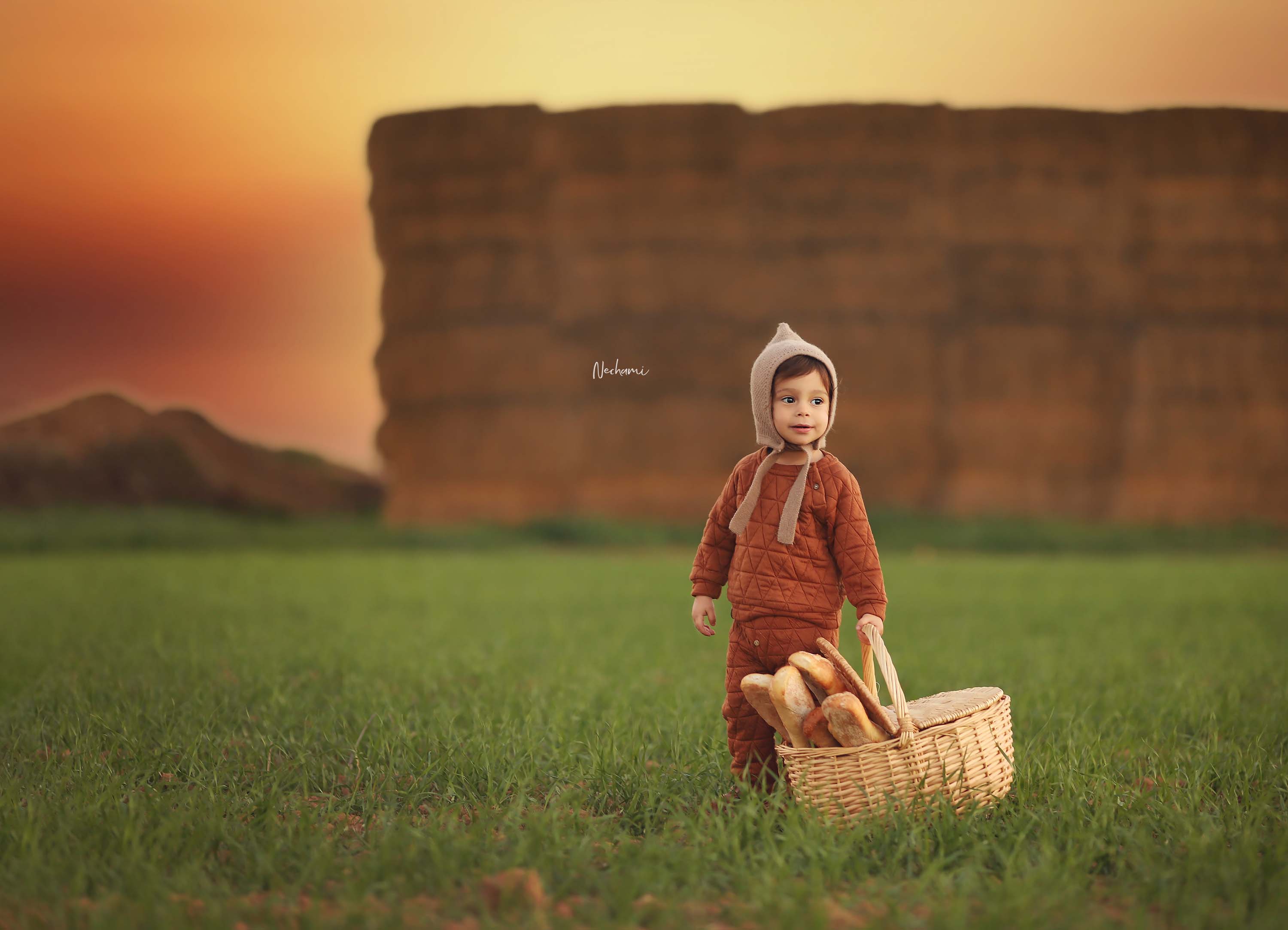 נחמי מישור צלמת 0548525028 (2).jpg