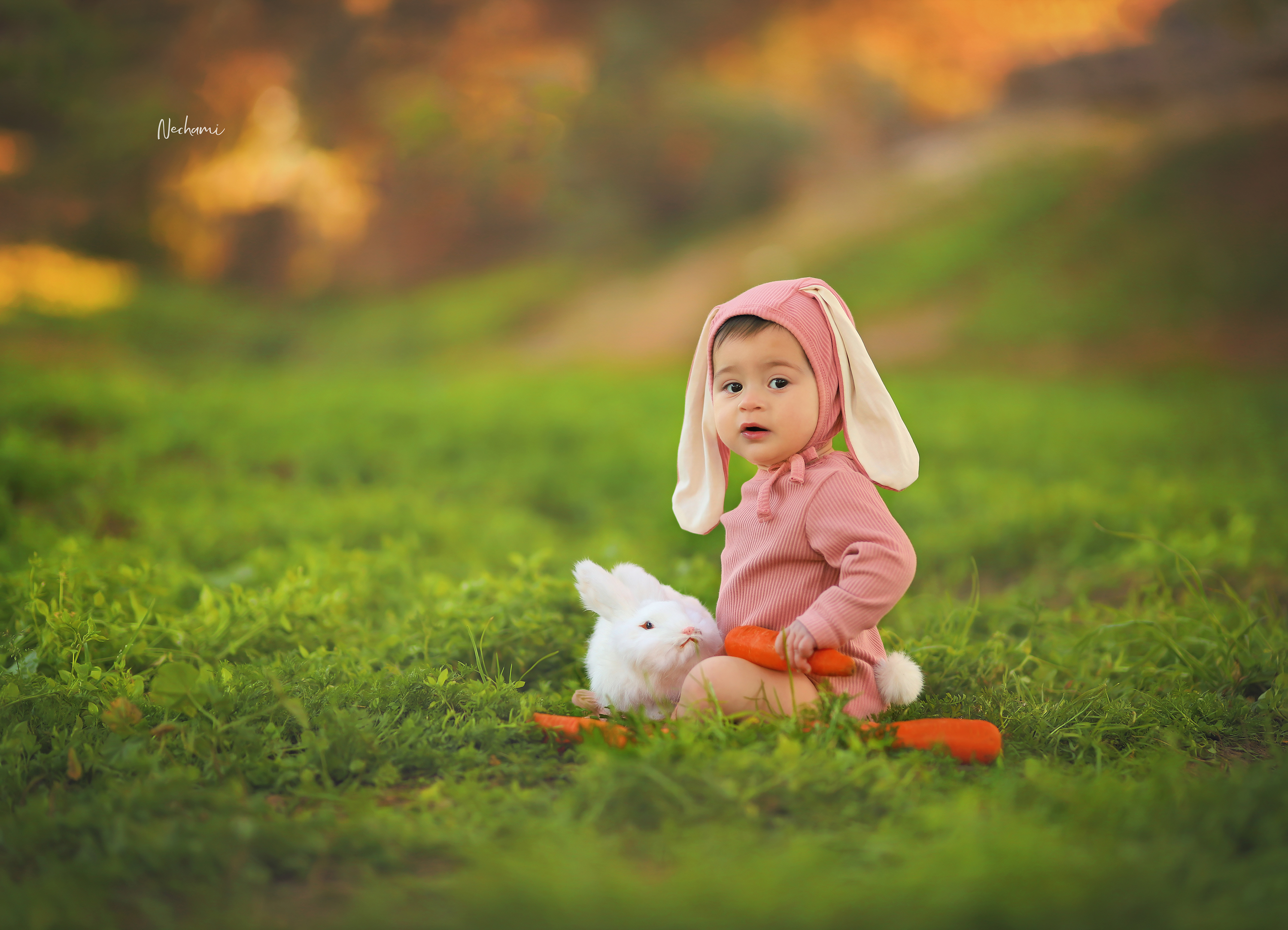 נחמי מישור צלמת 0548525028 (2).jpg