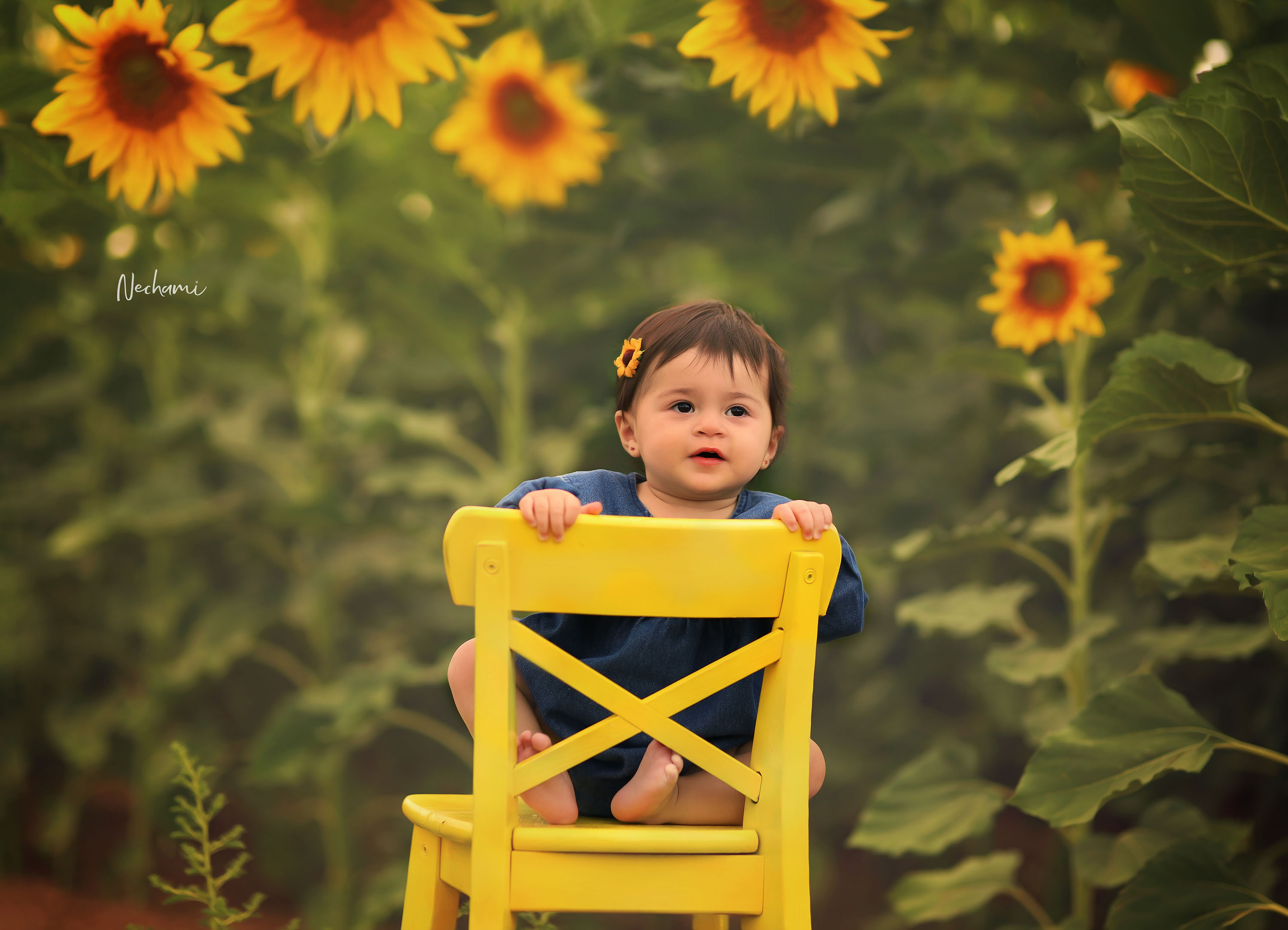 נחמי מישור צלמת 0548525028 (21).jpg