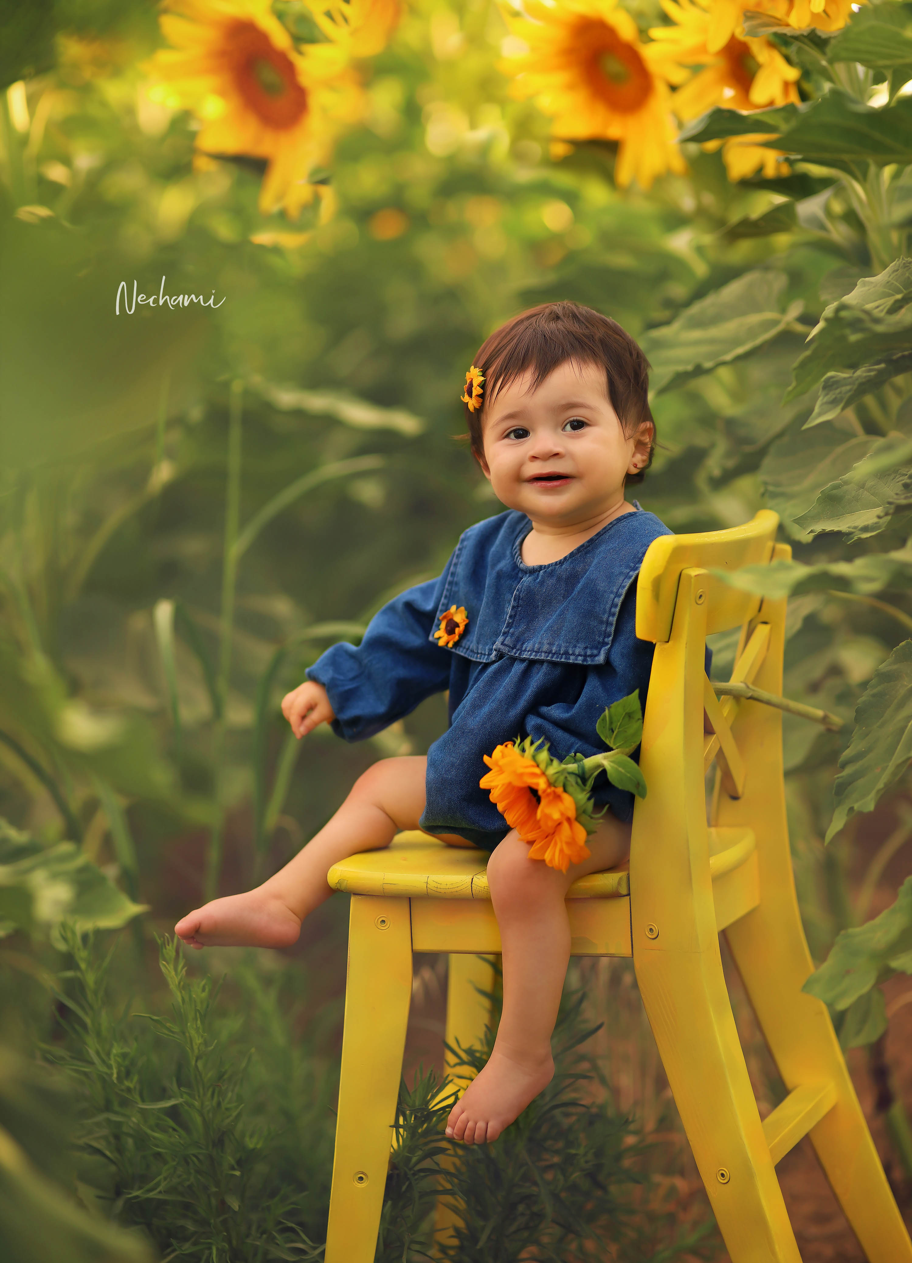 נחמי מישור צלמת 0548525028 (23).jpg