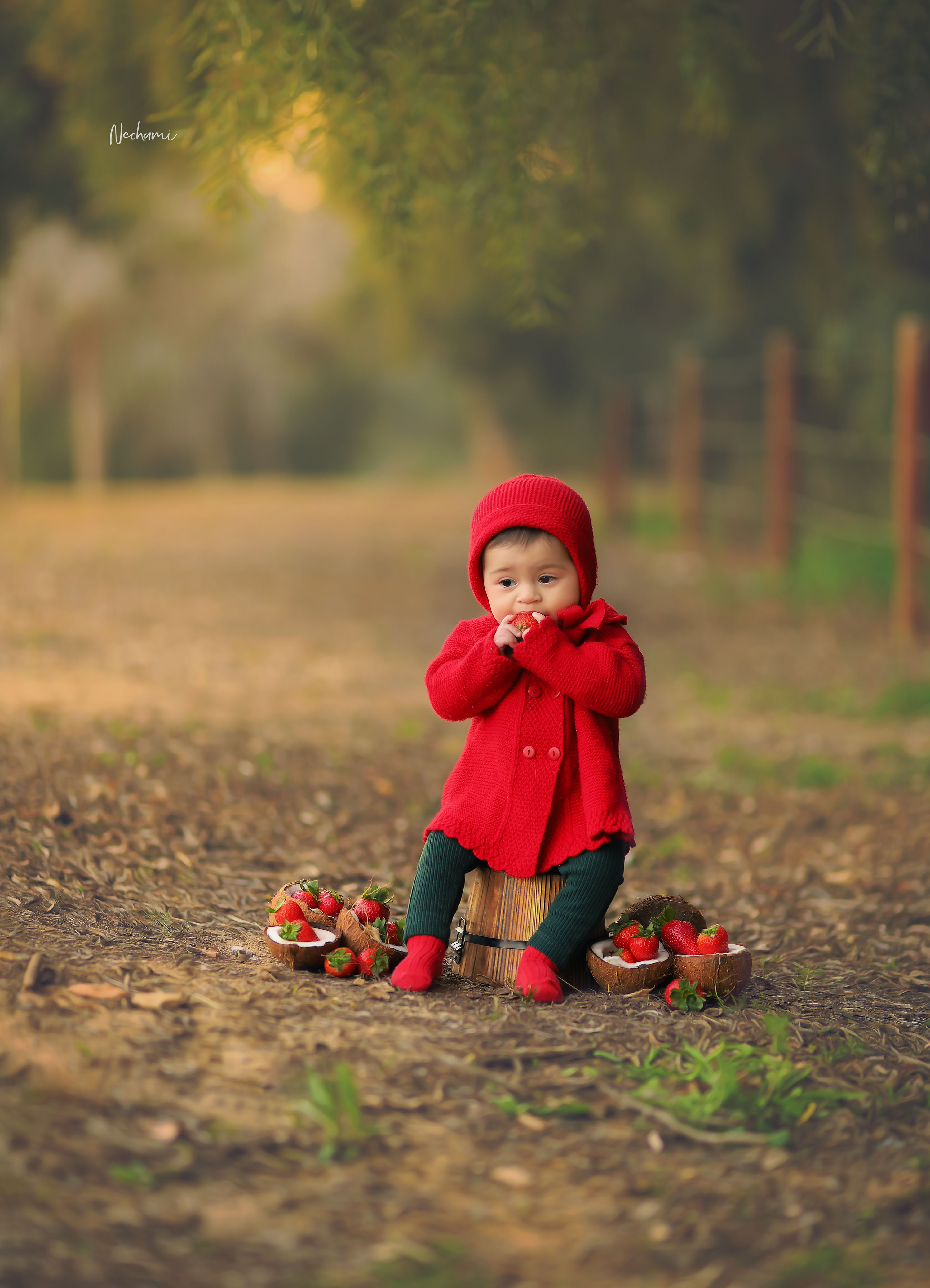 נחמי מישור צלמת 0548525028 (26).jpg