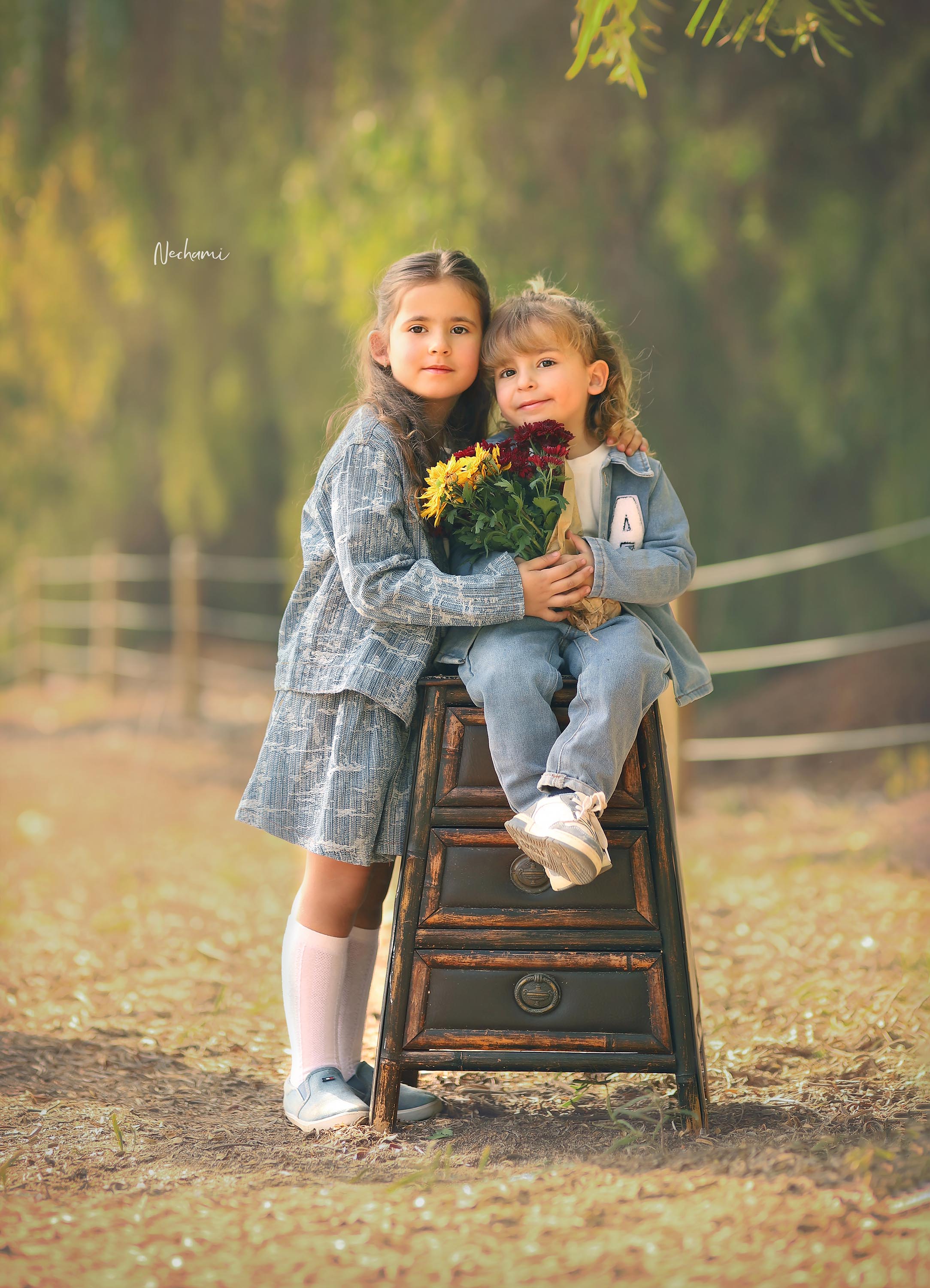 נחמי מישור צלמת  0548525028 (28).jpg