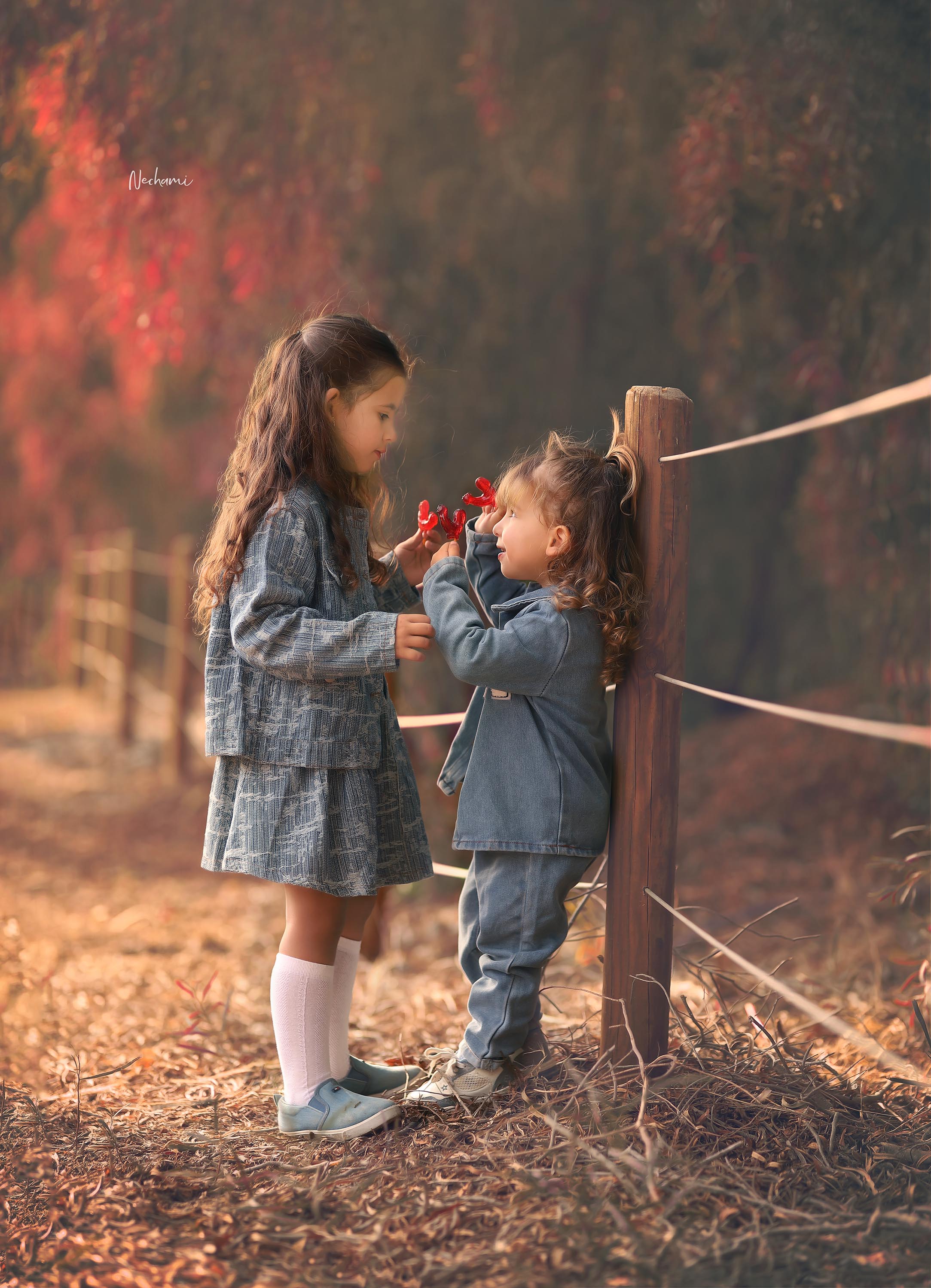 נחמי מישור צלמת  0548525028 (29).jpg