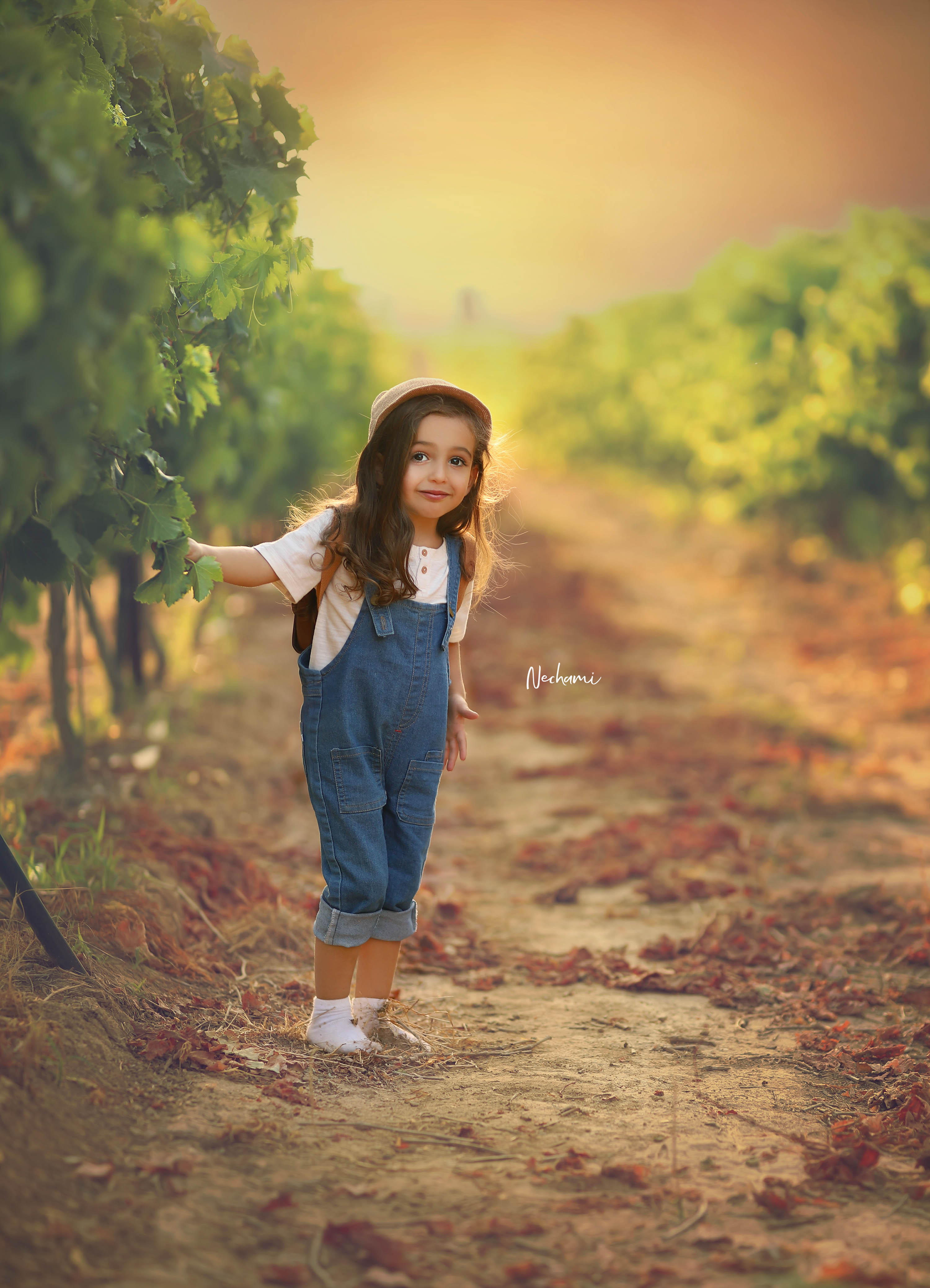 נחמי מישור צלמת 0548525028 (3).jpg