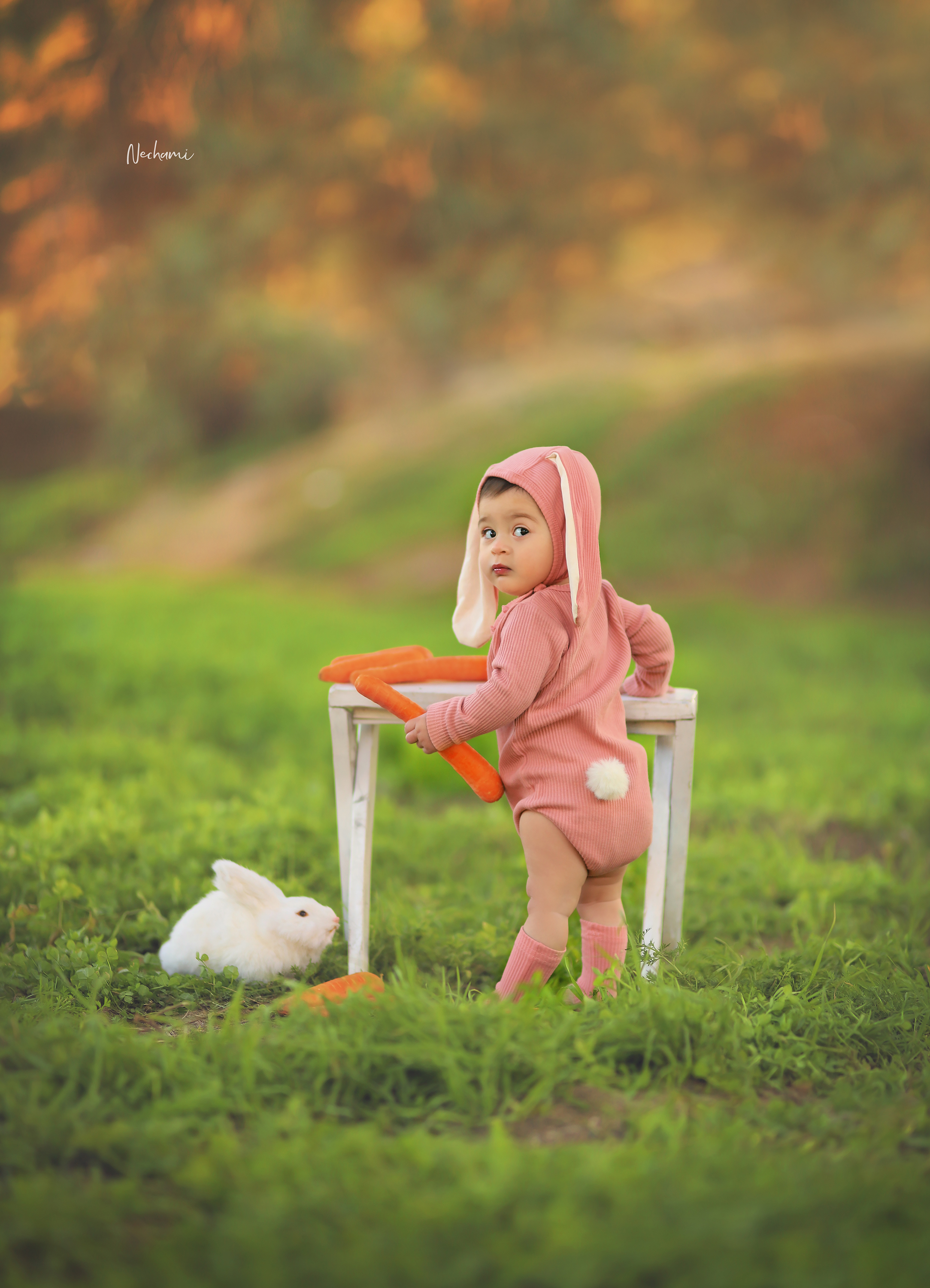 נחמי מישור צלמת 0548525028 (3).jpg