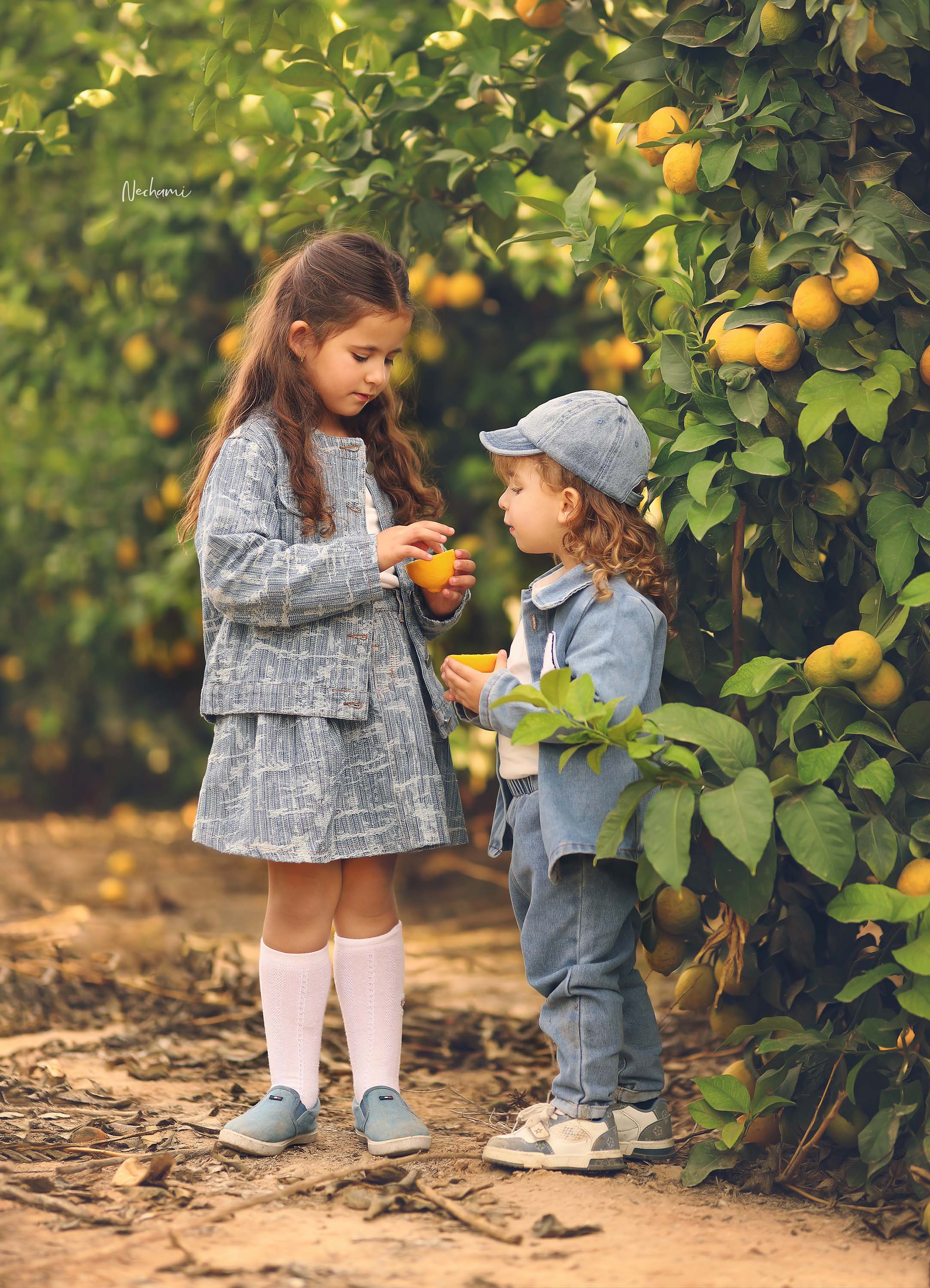 נחמי מישור צלמת  0548525028 (30).jpg