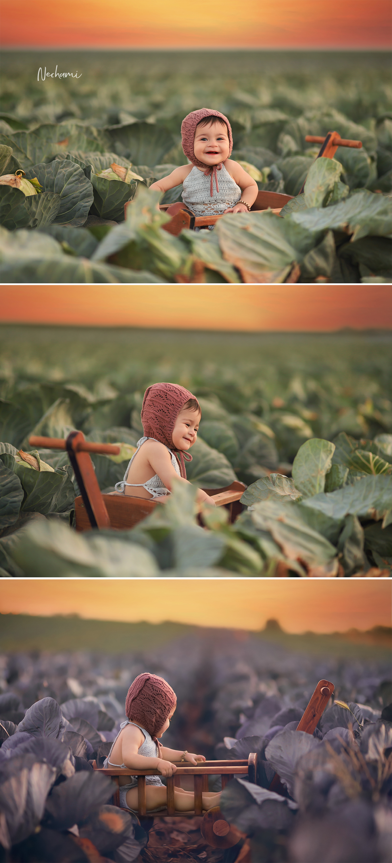 נחמי מישור צלמת 0548525028 (30).jpg