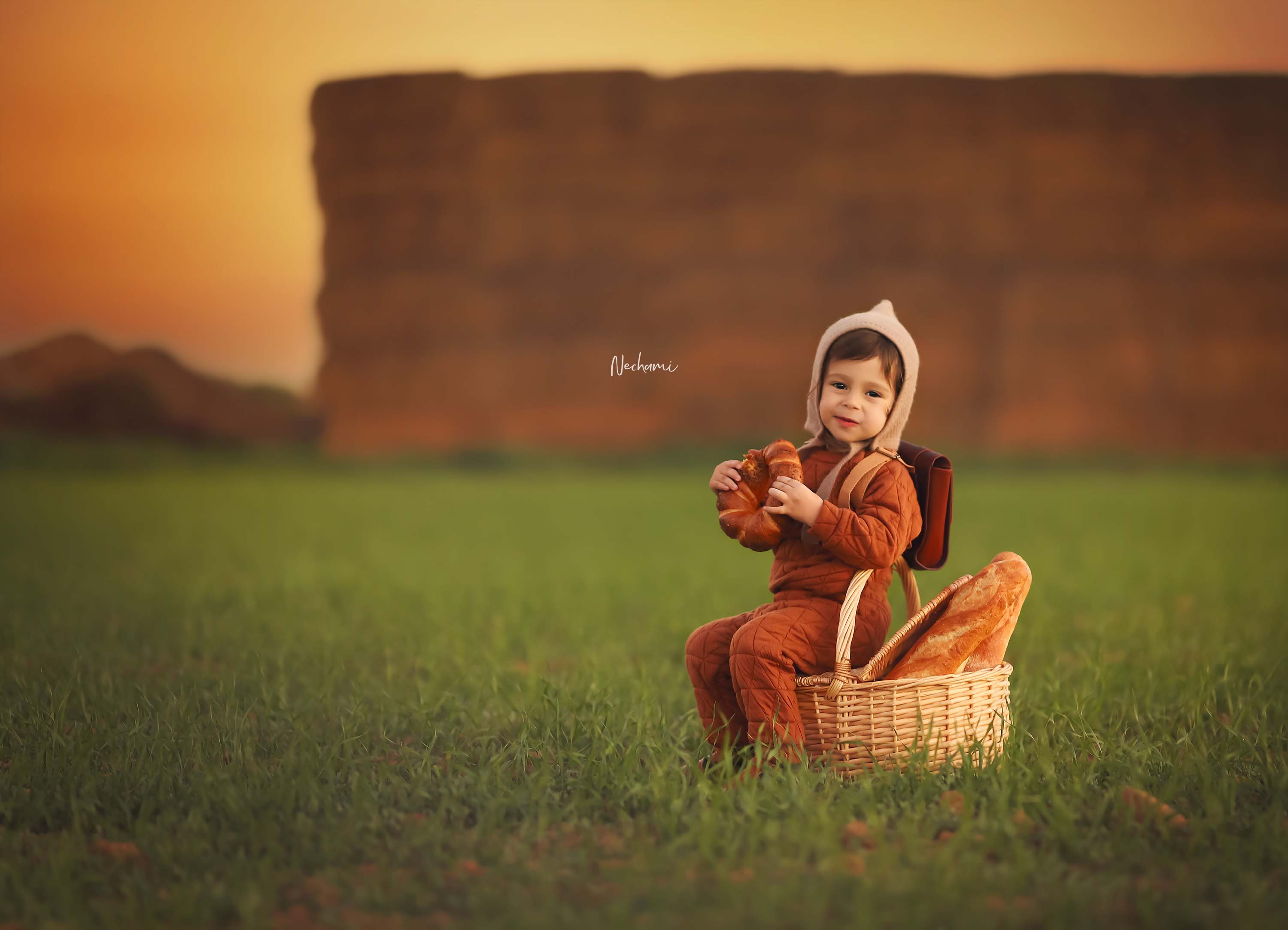 נחמי מישור צלמת 0548525028 (4).jpg