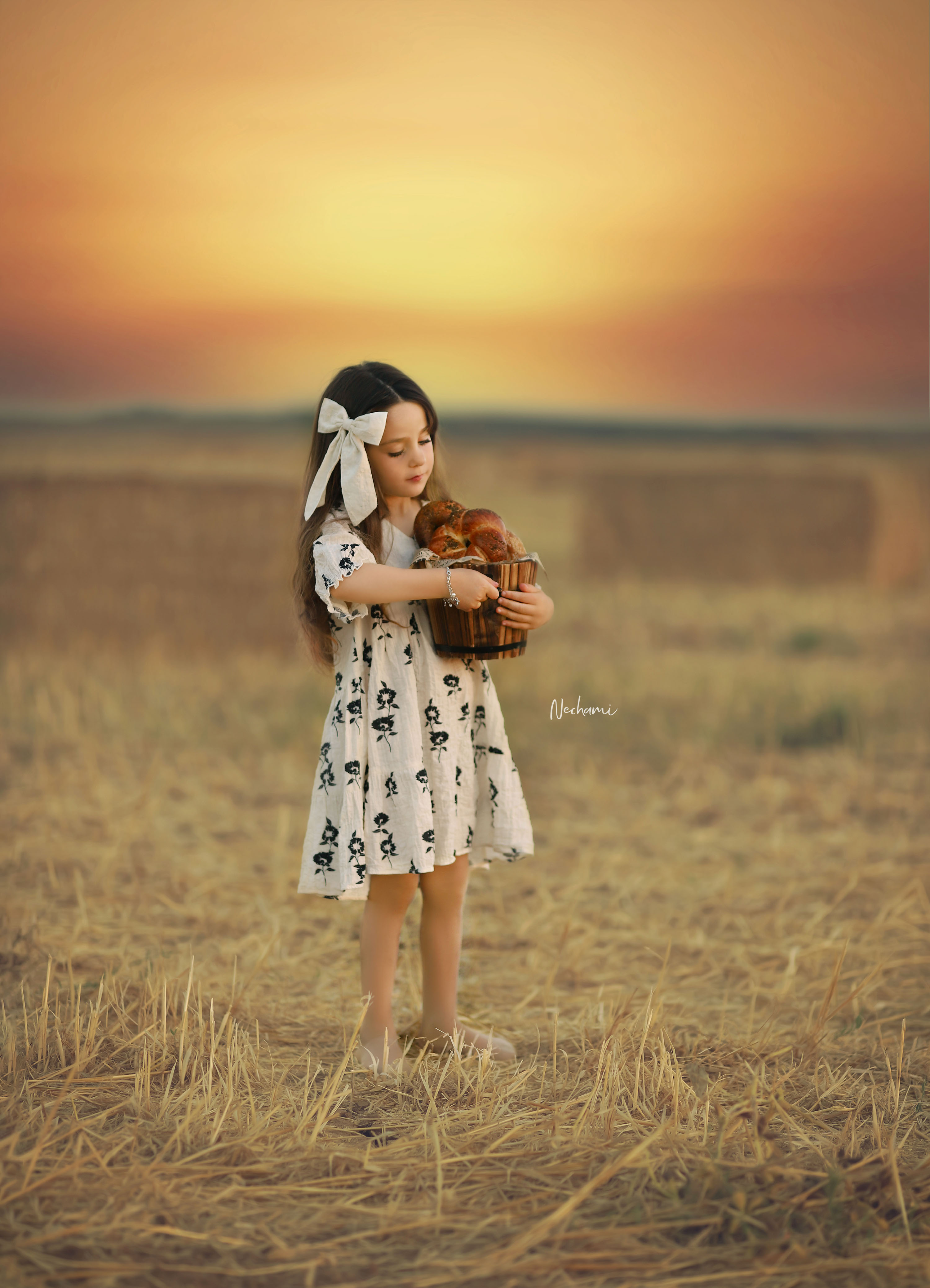 נחמי מישור צלמת 0548525028 (4).jpg