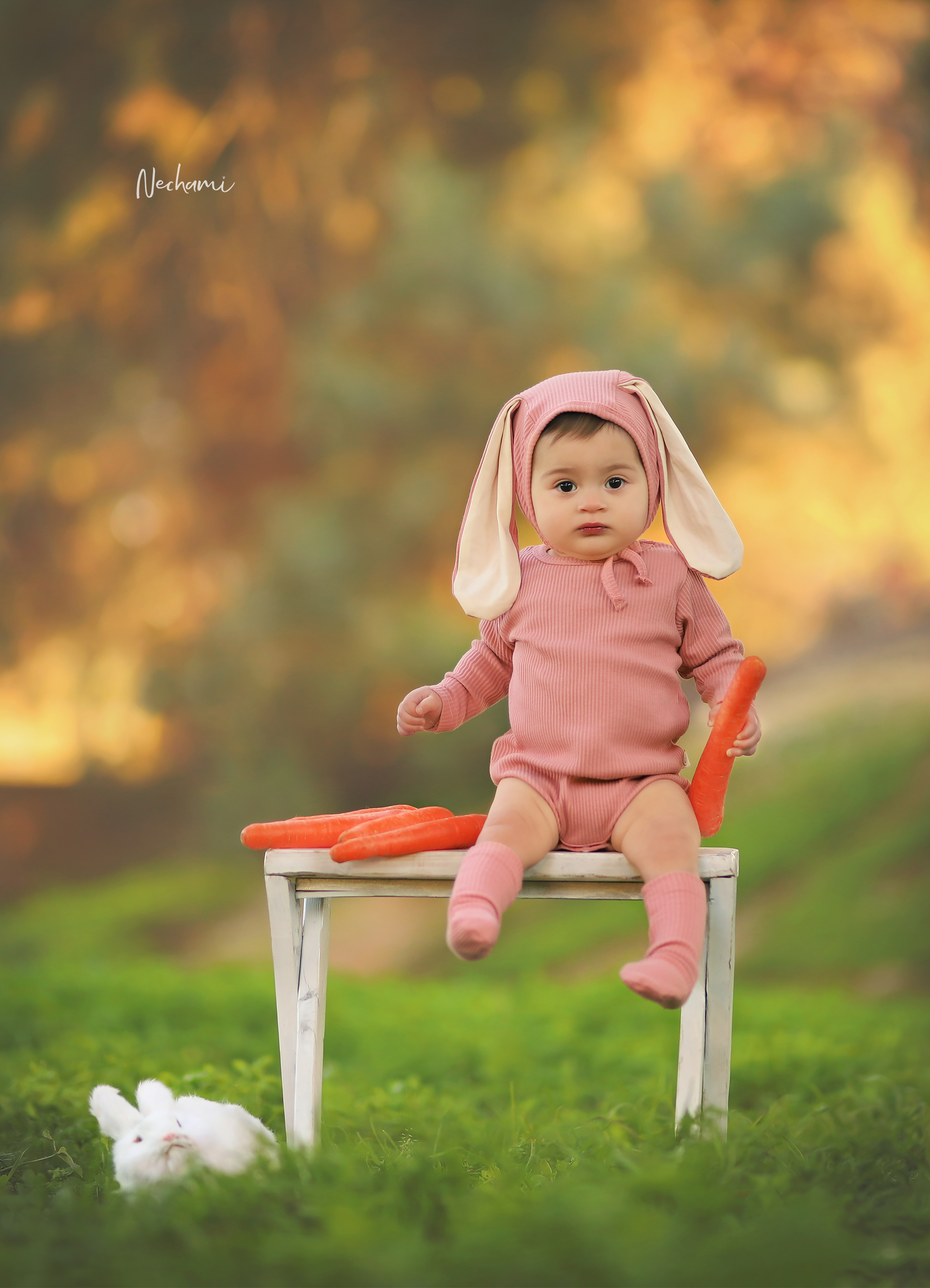 נחמי מישור צלמת 0548525028 (4).jpg