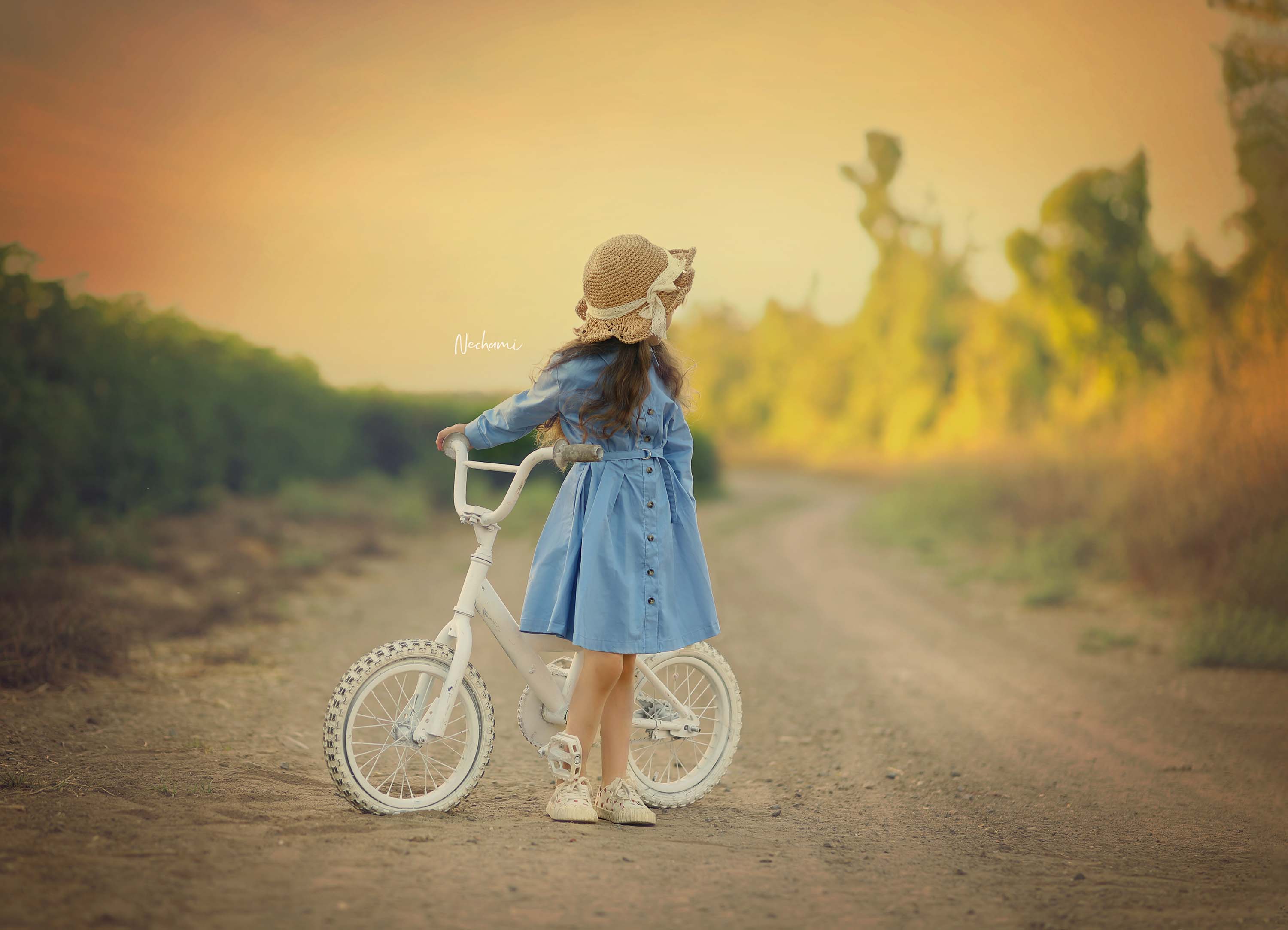 נחמי מישור צלמת 0548525028 (5).jpg