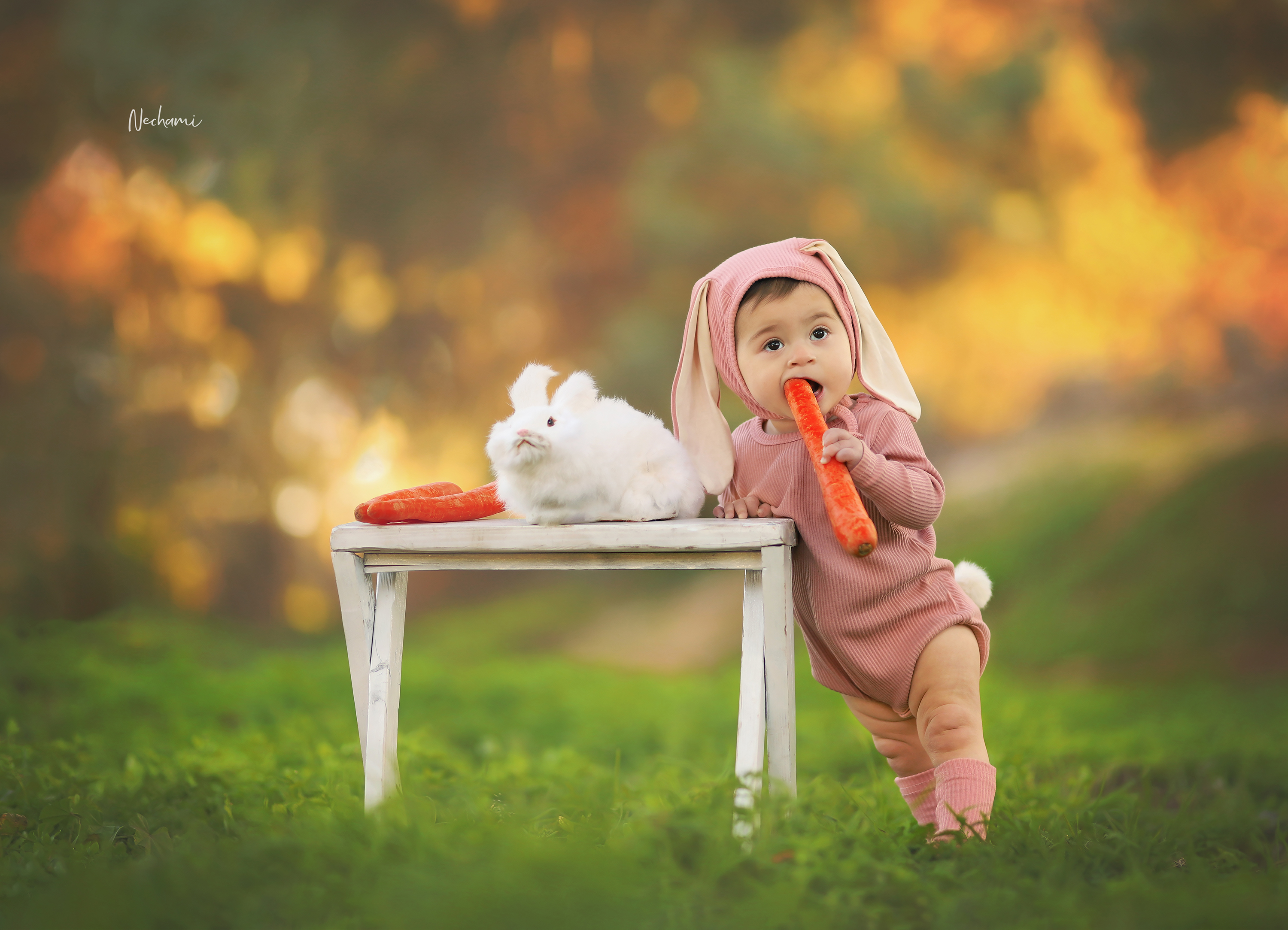 נחמי מישור צלמת 0548525028 (5).jpg