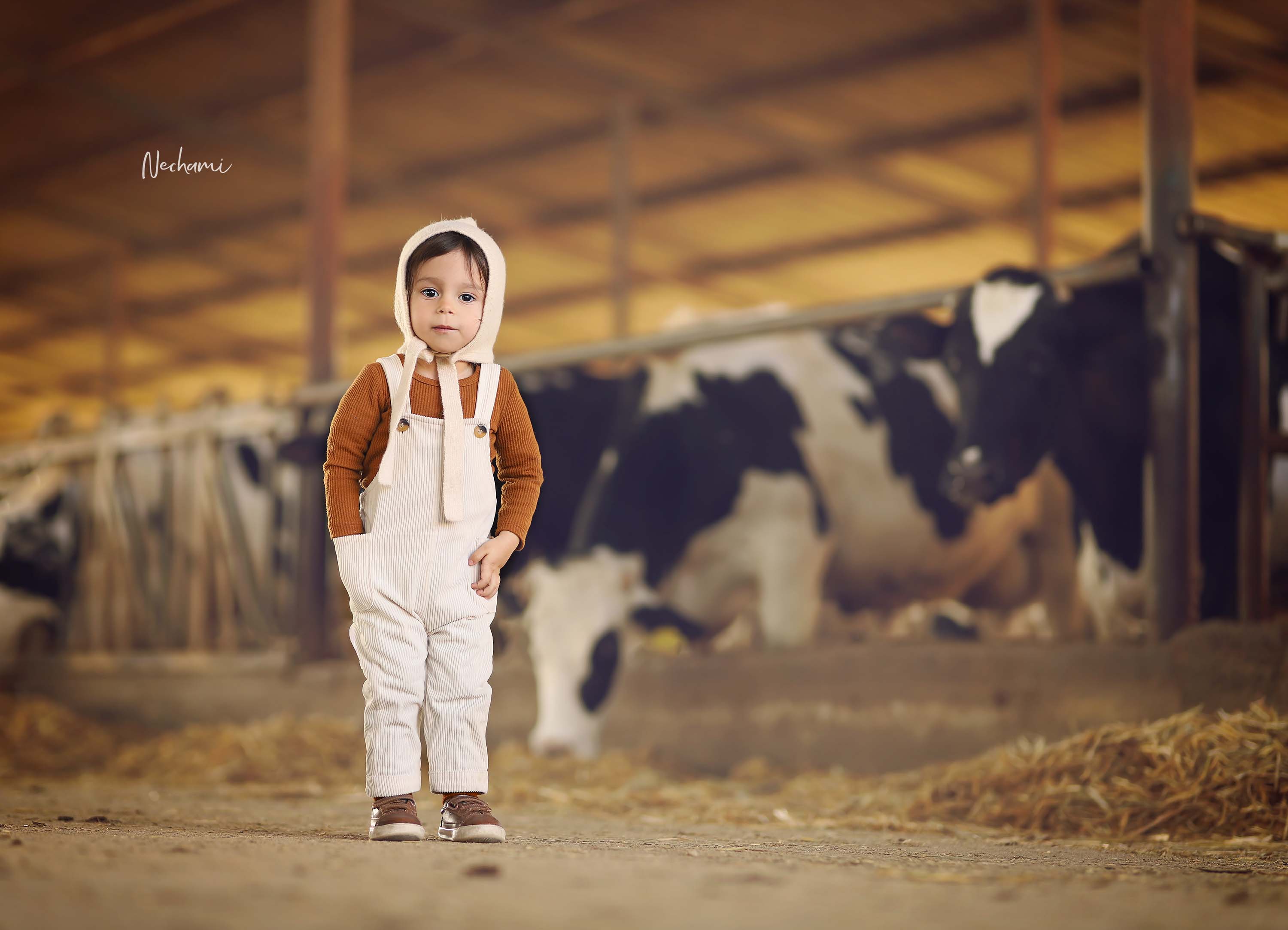 נחמי מישור צלמת 0548525028 (6).jpg