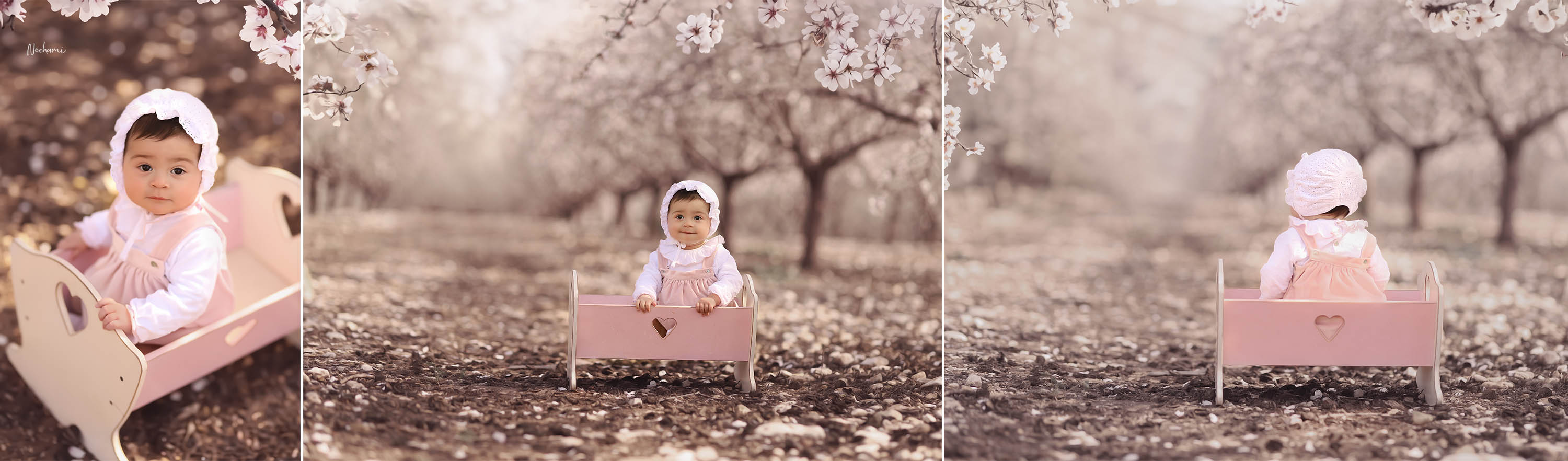 נחמי מישור צלמת 0548525028 (6).jpg