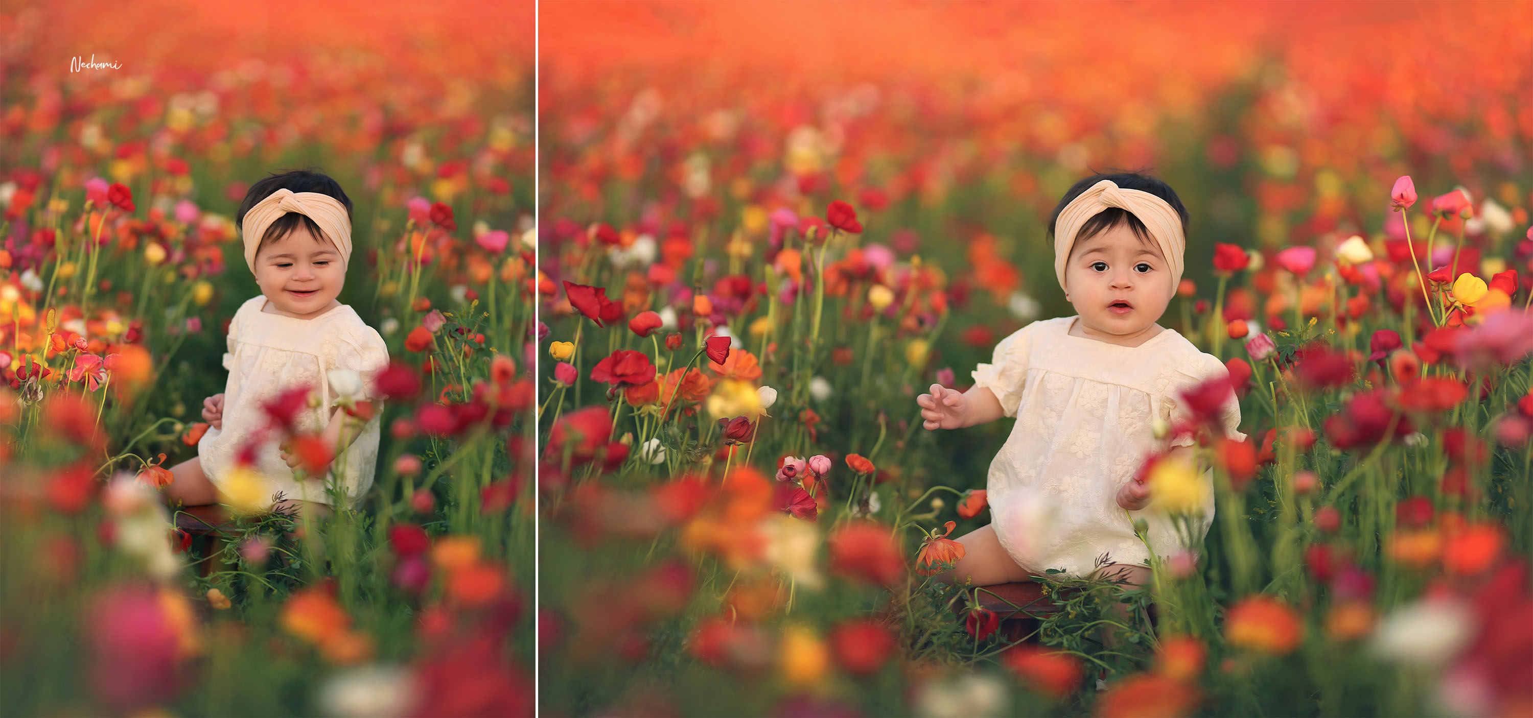 נחמי מישור צלמת 0548525028 (8).jpg