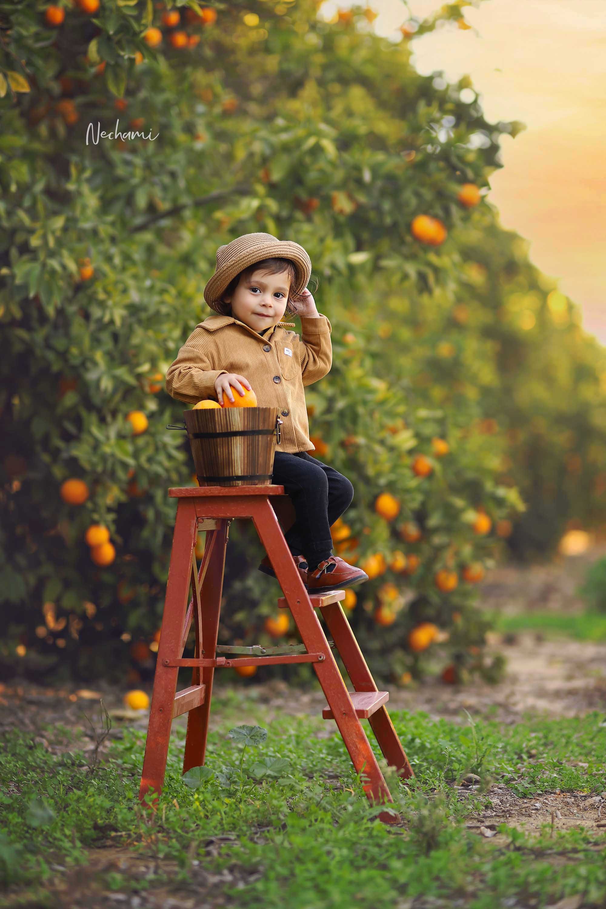 נחמי מישור צלמת 0548525028 copy.jpg