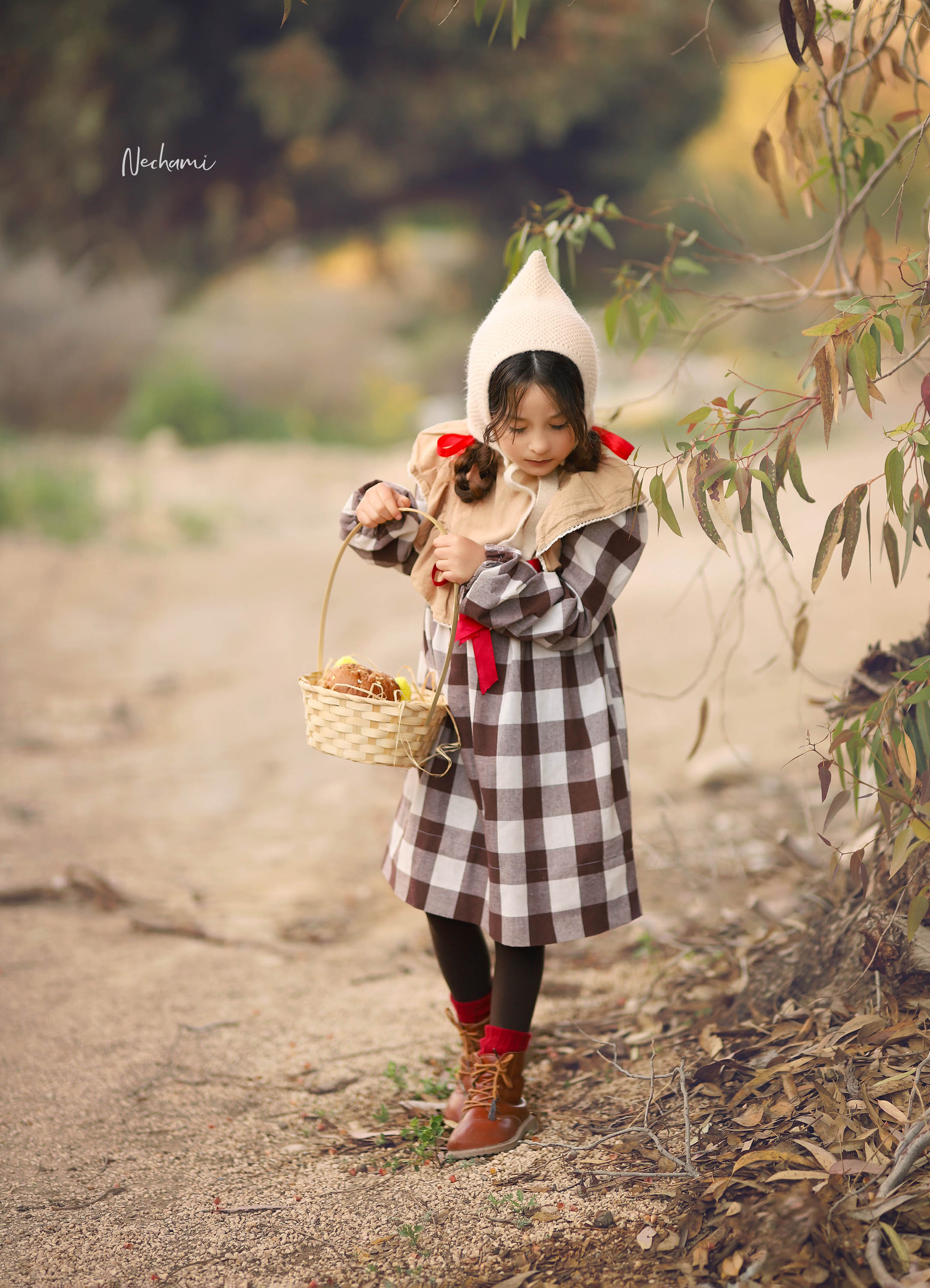 נחמי מישור צלמת  0548525028.jpg