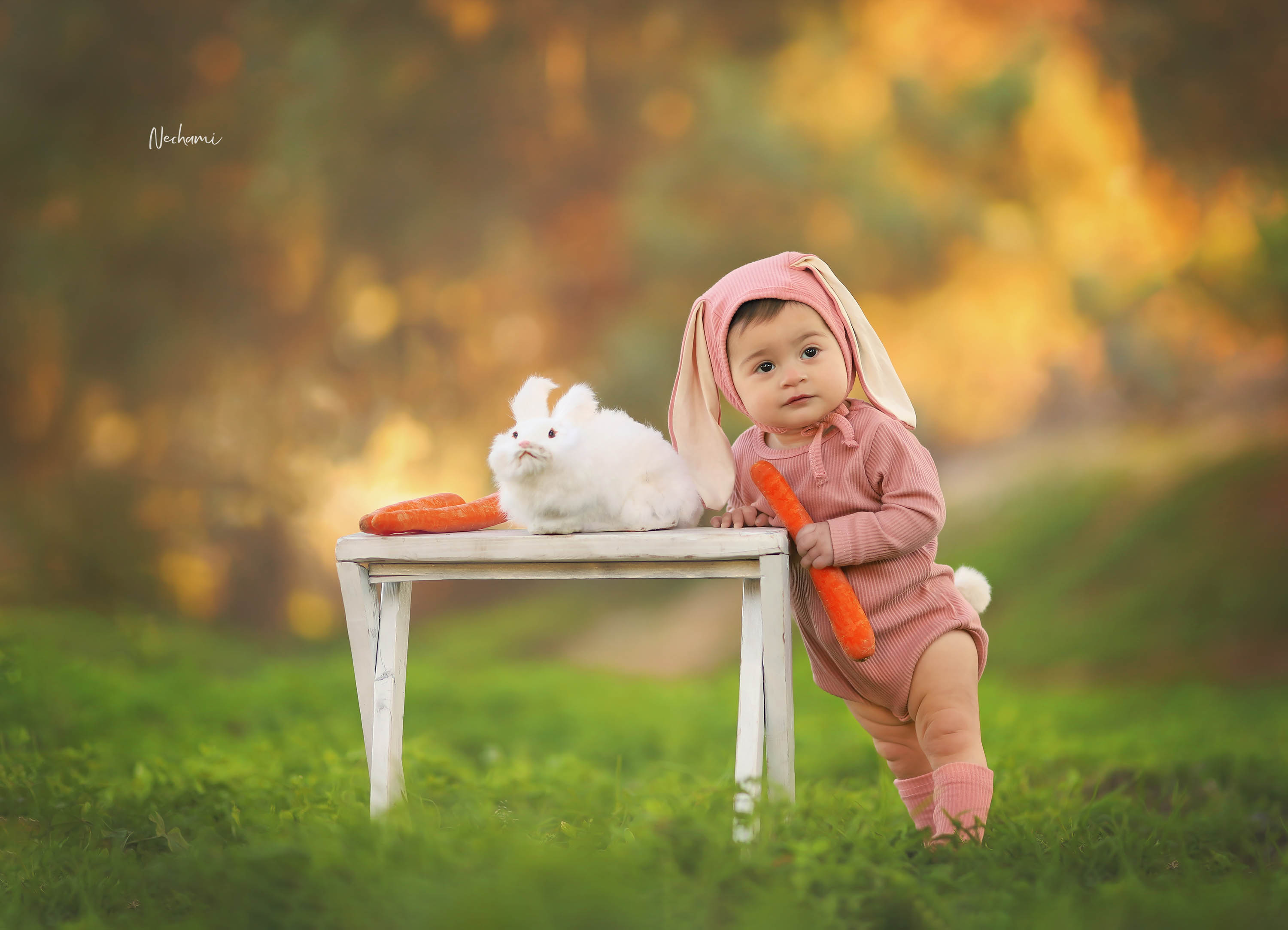 נחמי מישור צלמת 0548525028.jpg