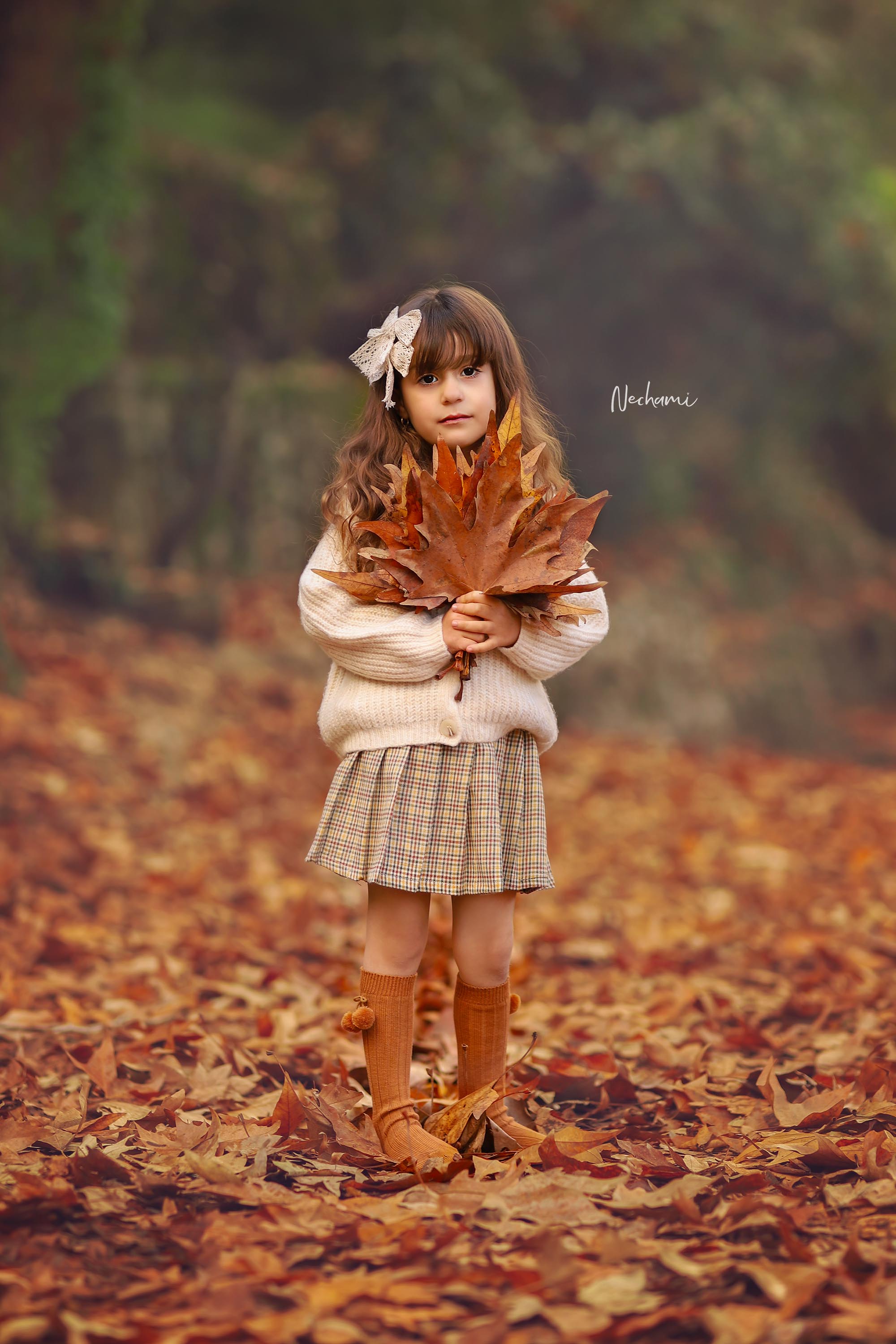 נחמי מישור 0548525028 (5).jpg