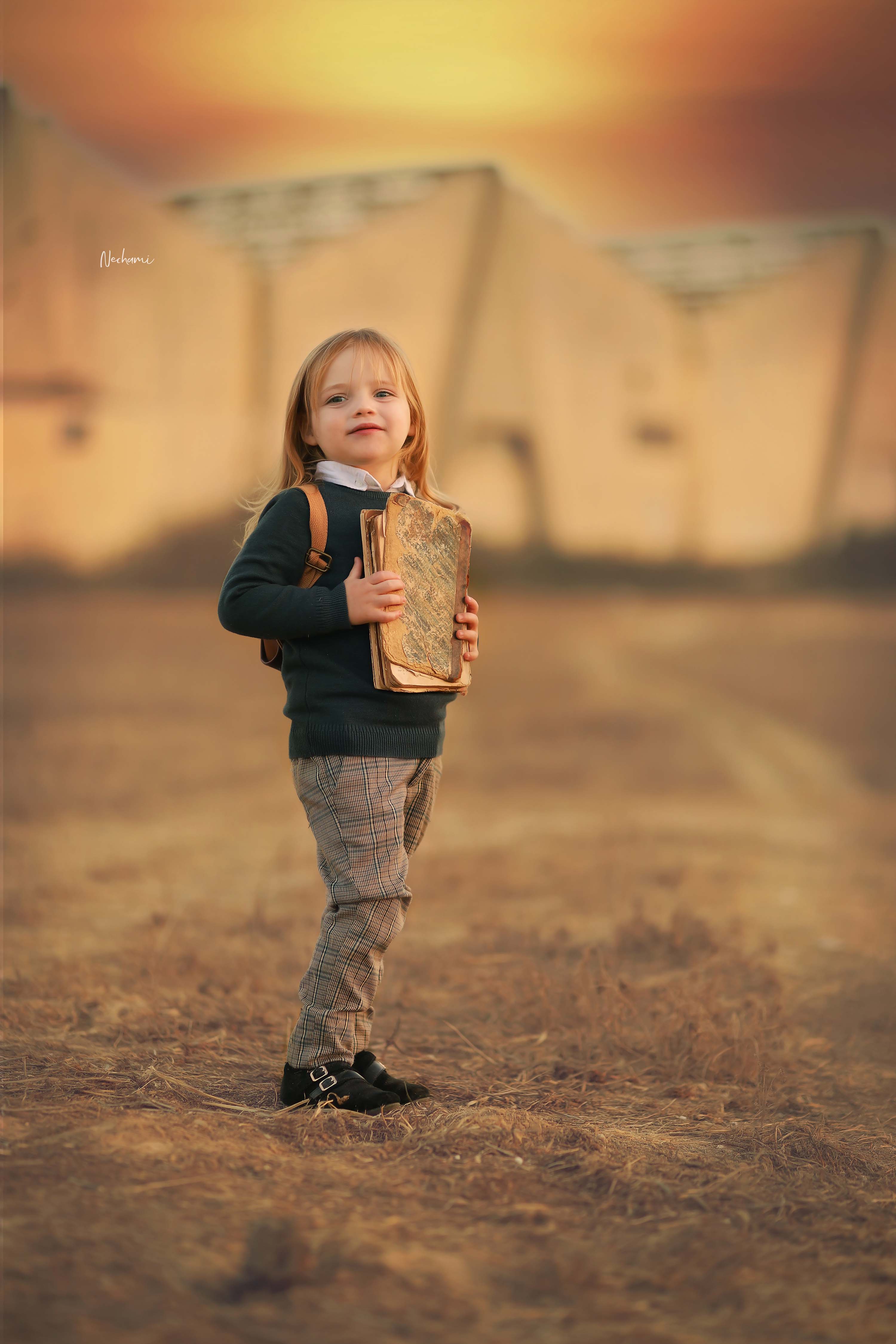 נחמי מישור 0548525028.jpg