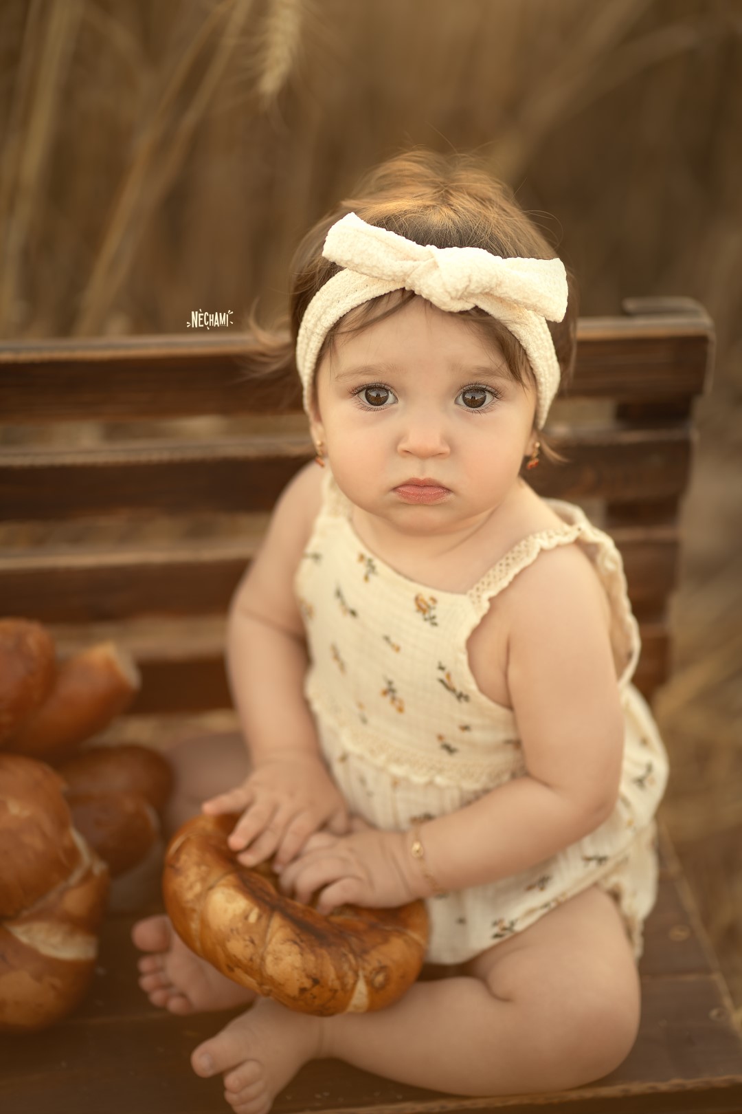 נחמי פרקש צילום 0556733034 (1).jpg