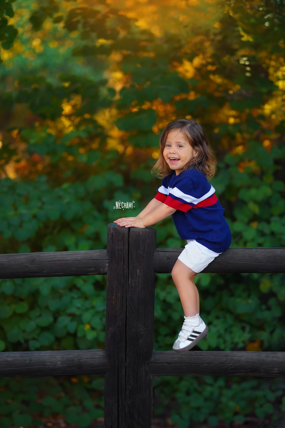 נחמי פרקש צילום 0556733034 (1).jpg