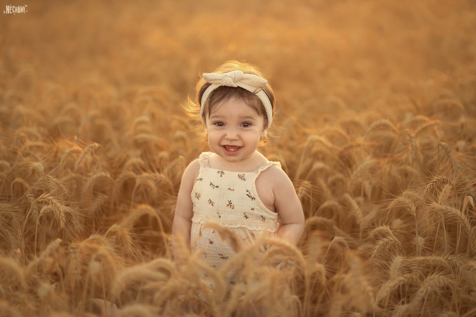 נחמי פרקש צילום 0556733034 (2).jpg