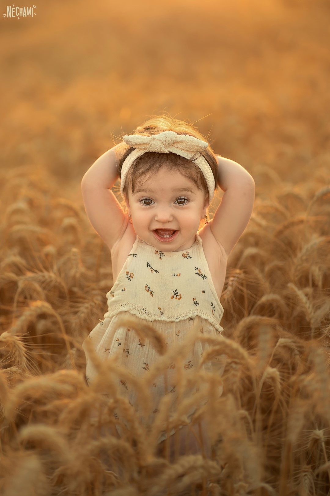 נחמי פרקש צילום 0556733034 (5).jpg