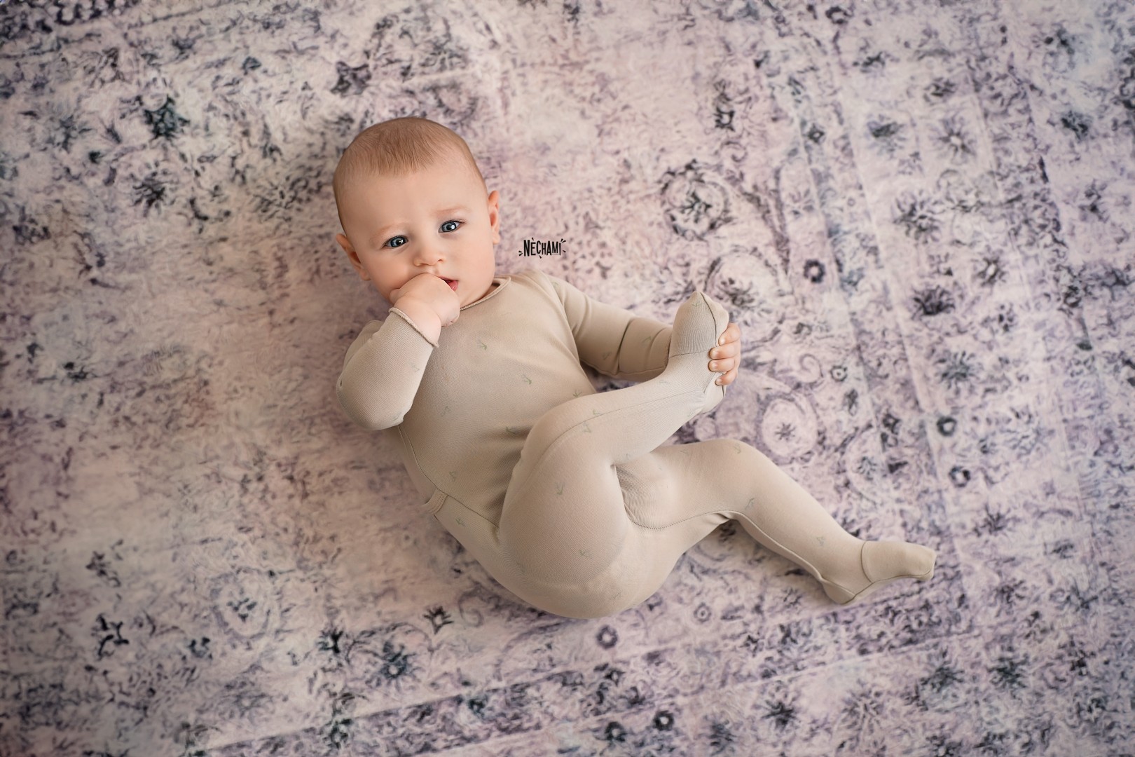 נחמי פרקש צילום 0556733034 (5).jpg