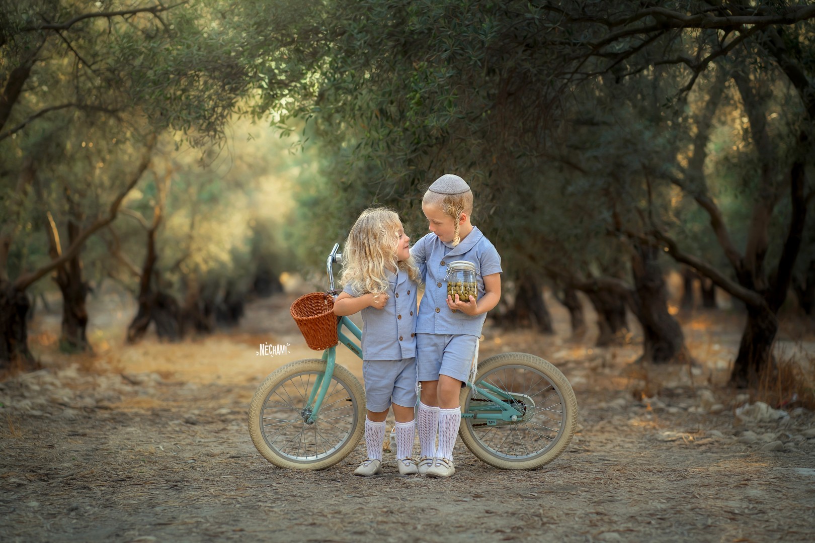 נחמי פרקש צילום0556733034 (4).jpg