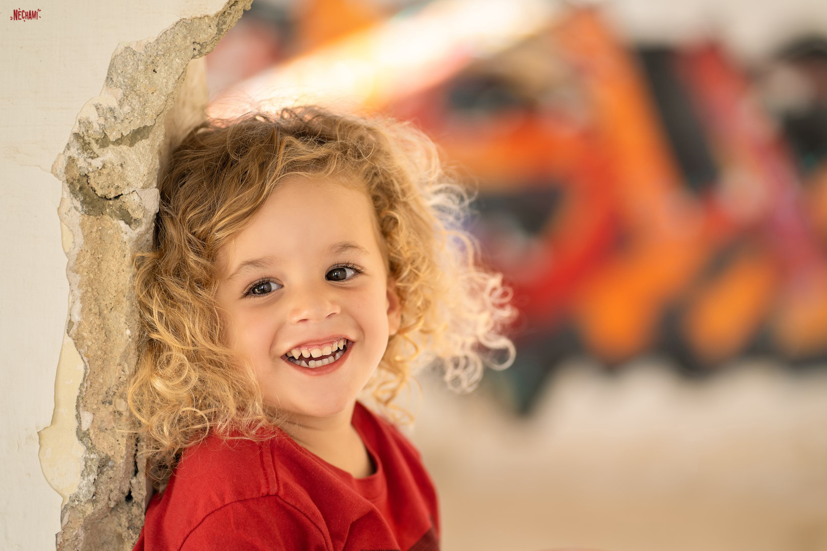 נחמי פרקש 0556733034 (1) (Large).jpg