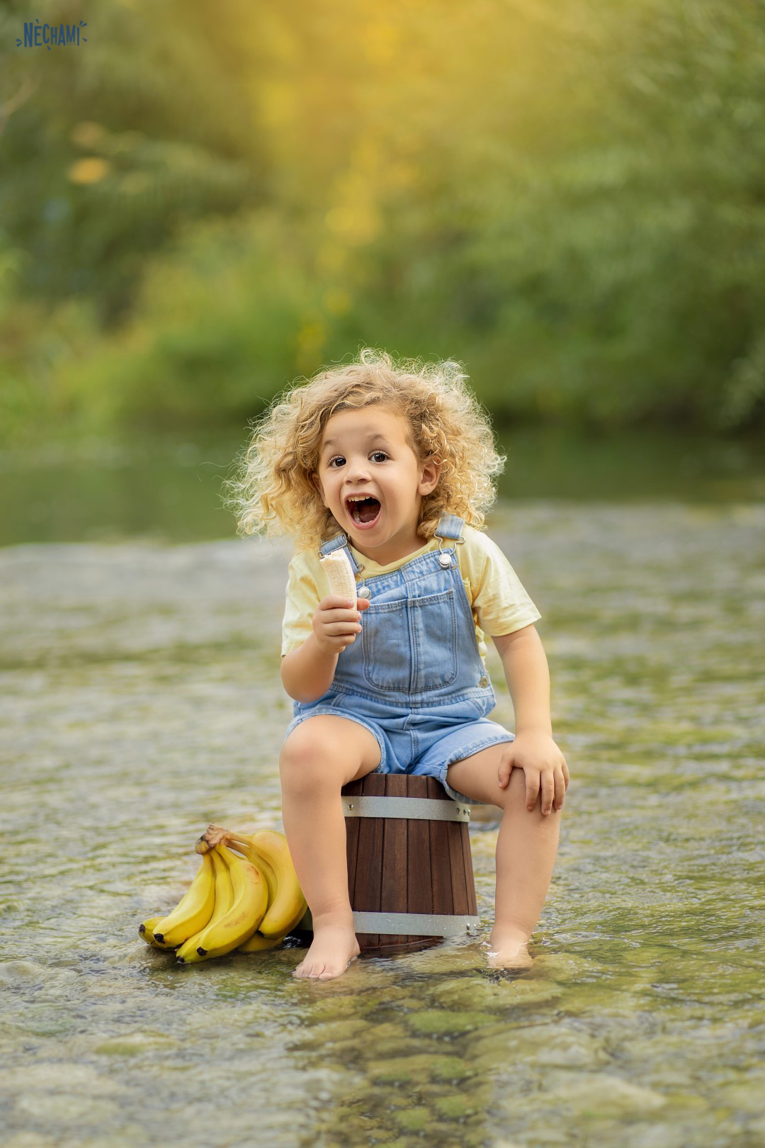 נחמי פרקש 0556733034 (6) (Large).jpg