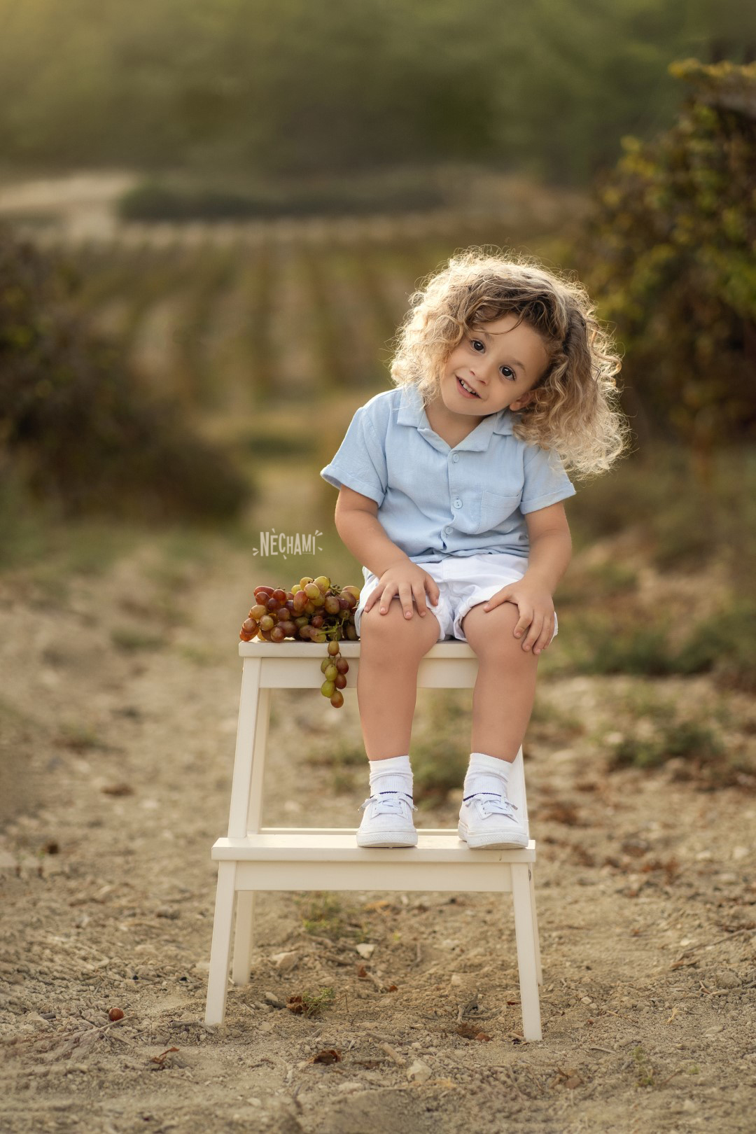 נחמי פרקש 0556733034 (7) (Large).jpg