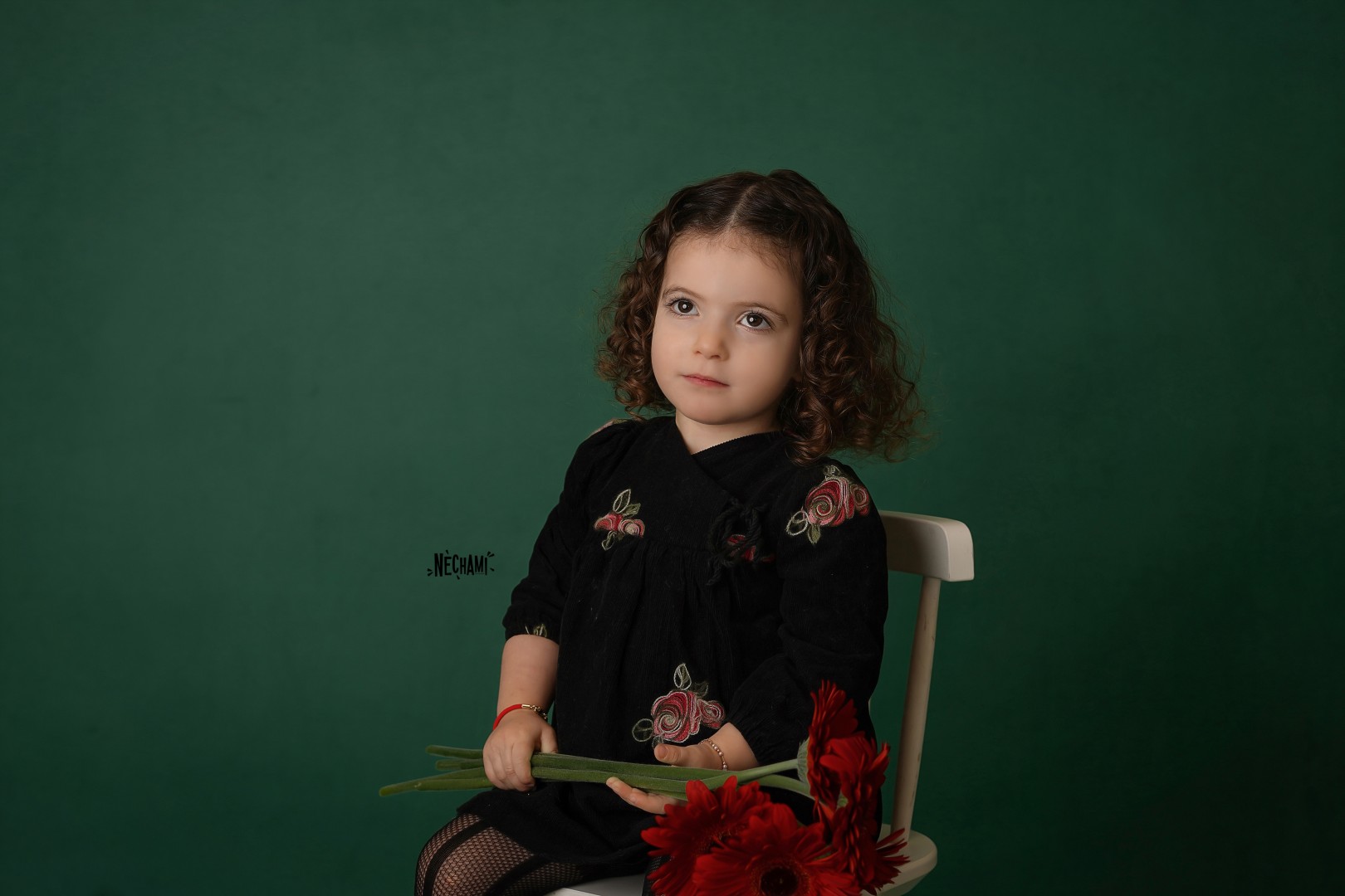 נחמי צילום 0556733034 (4).jpg