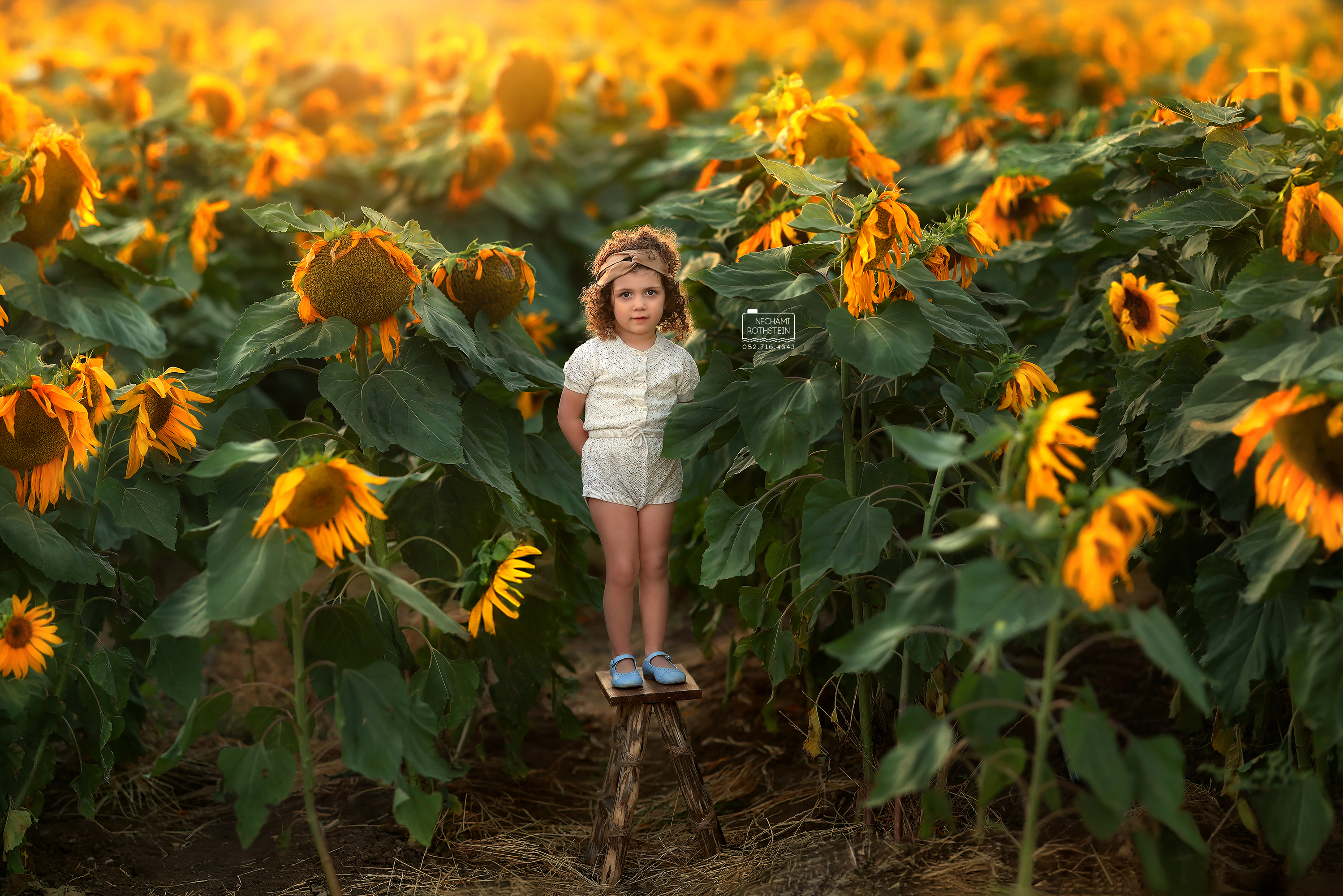 נחמי רוטשטיין צילום 0527164343 (1).jpg