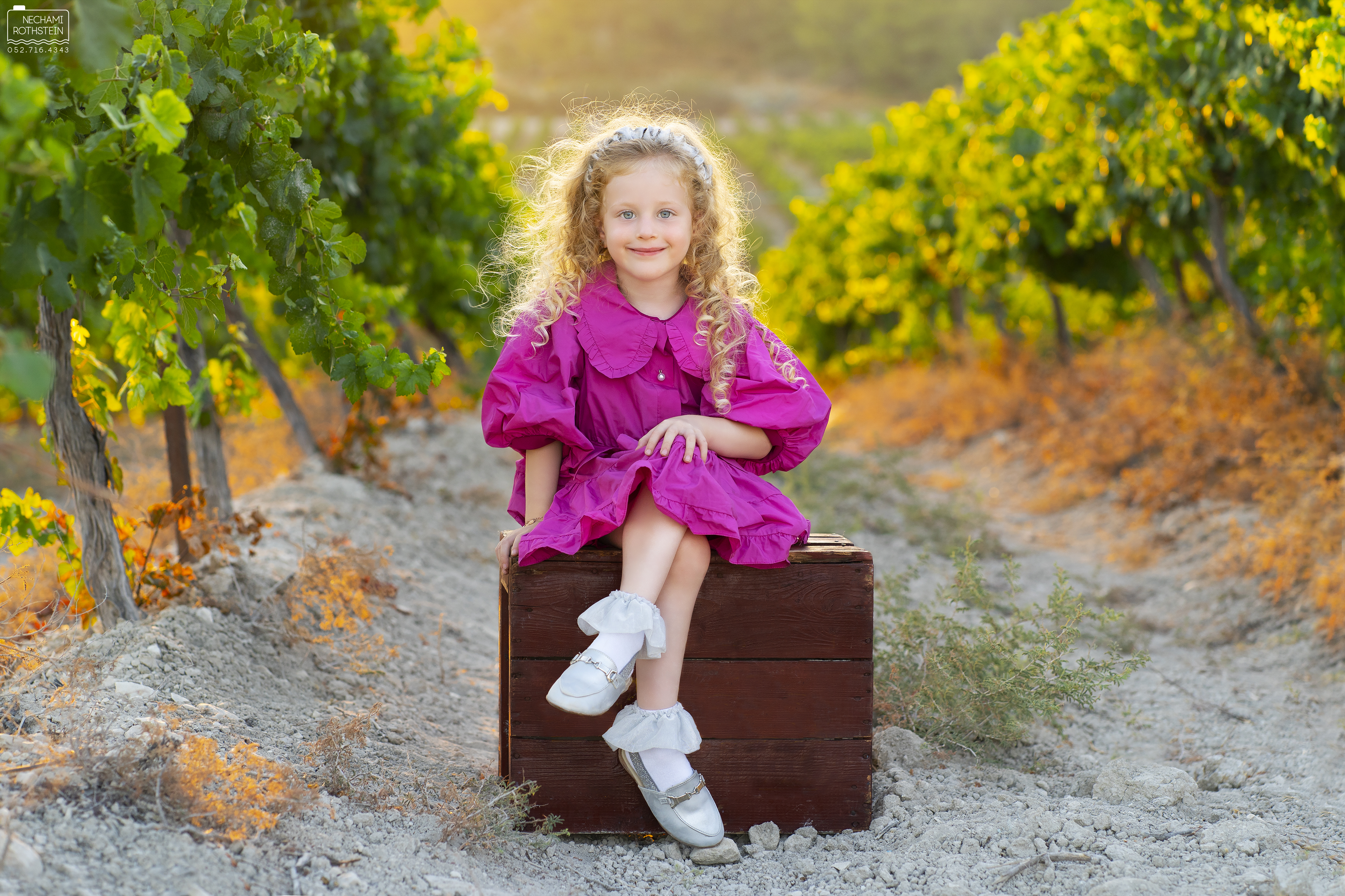 נחמי רוטשטיין צילום 0527164343 (1).jpg