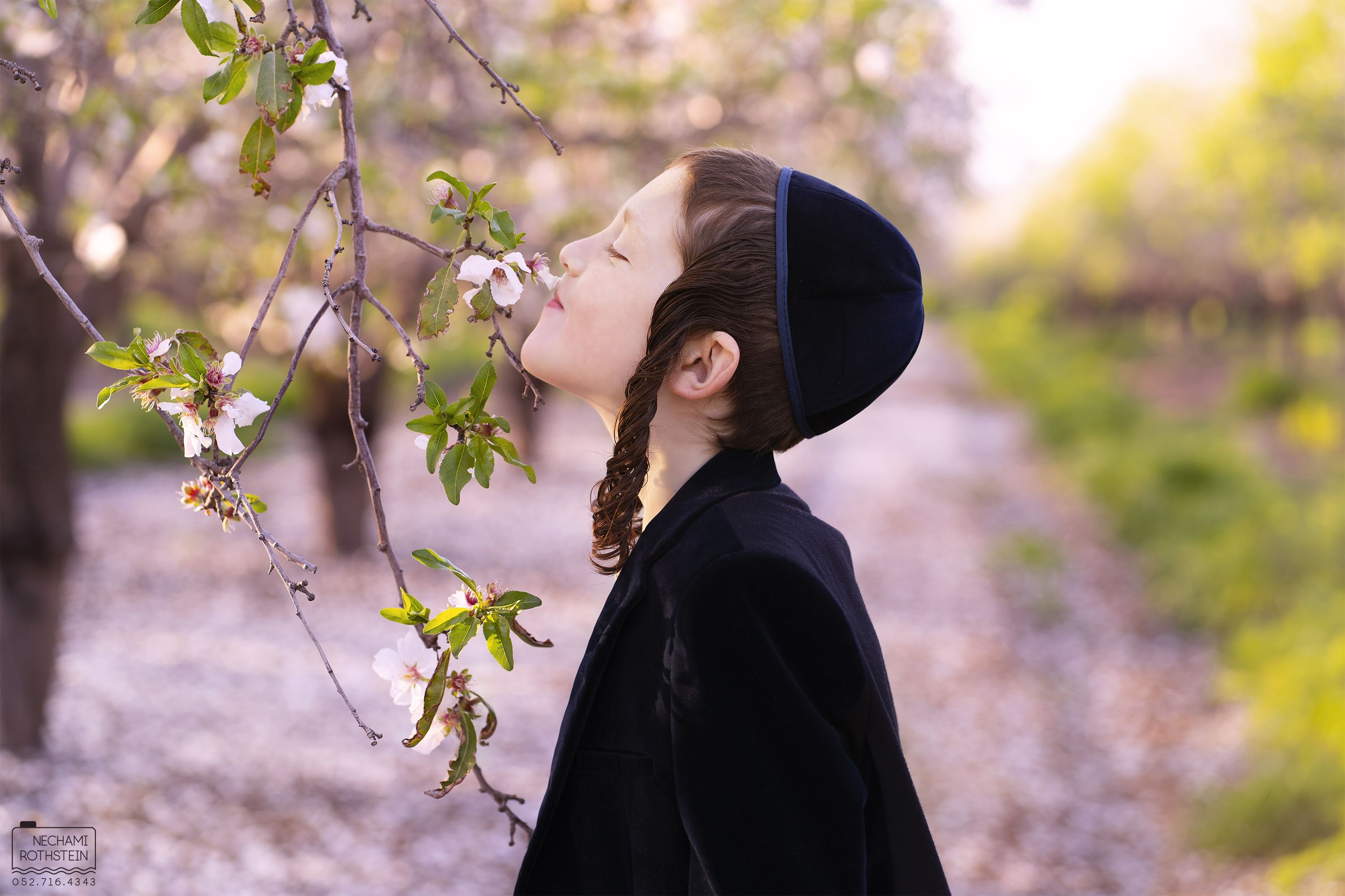 נחמי רוטשטיין צילום 0527164343 (2).jpg