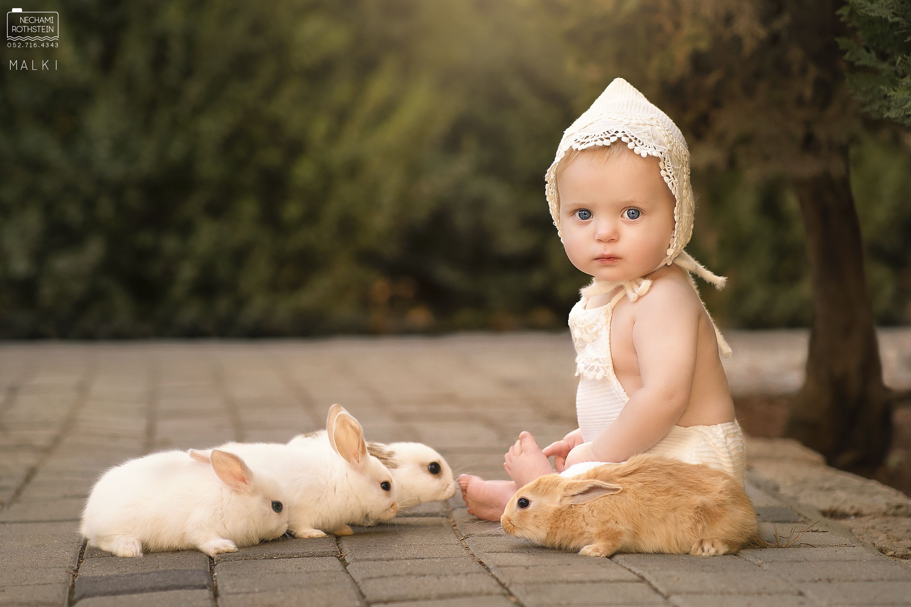 נחמי רוטשטיין צילום 0527164343 (3).jpg