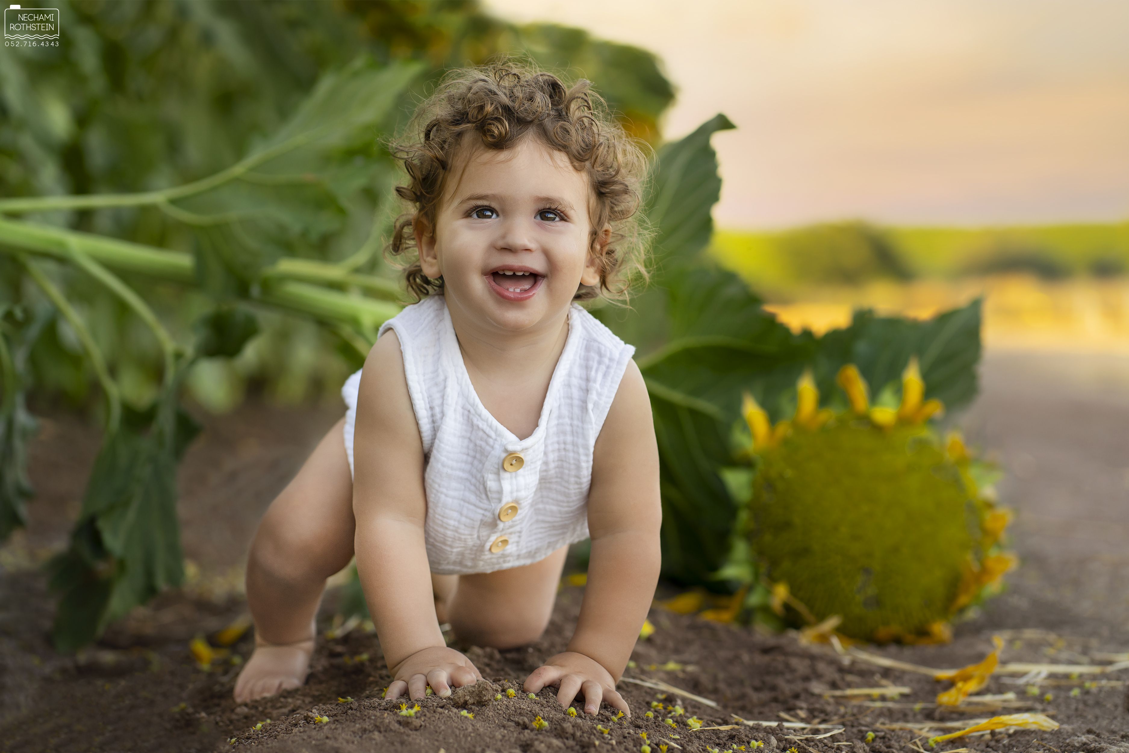 נחמי רוטשטיין 0527164343 (10).jpg